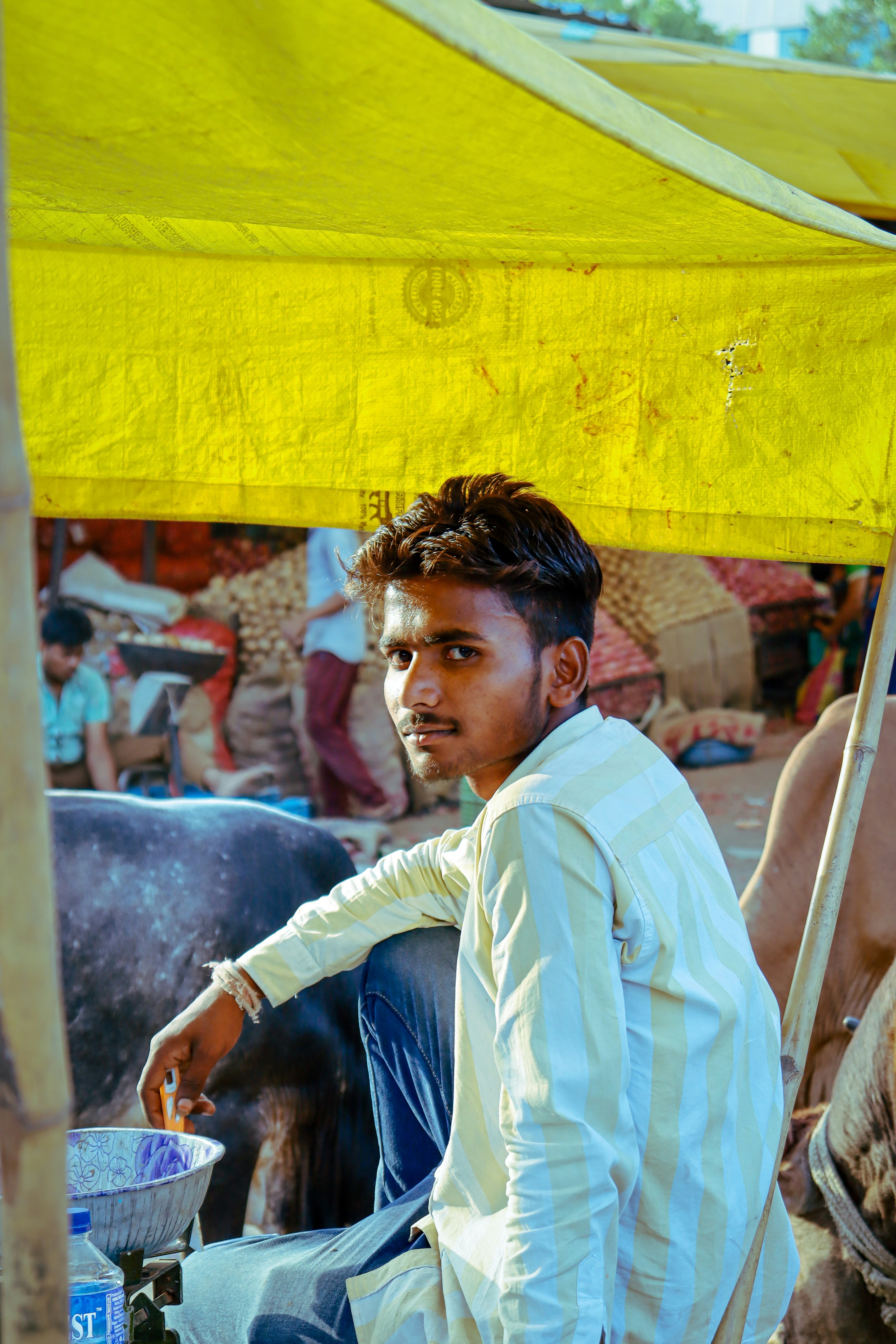 Photo by parimaljain