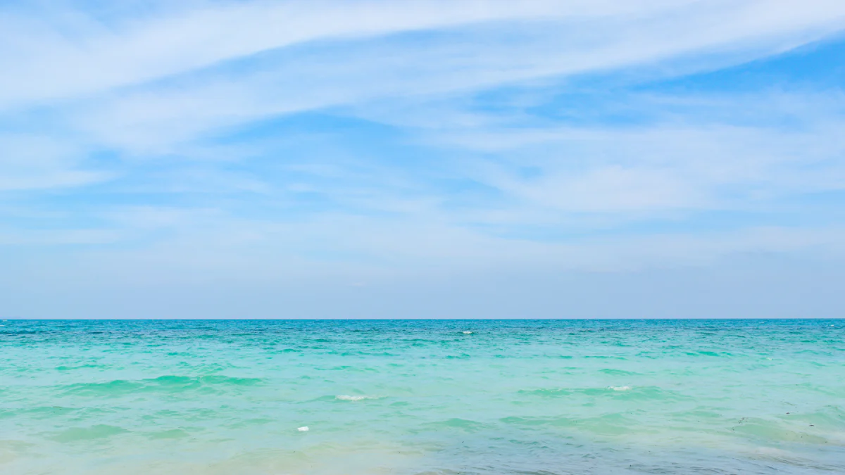 Radhanagar Beach