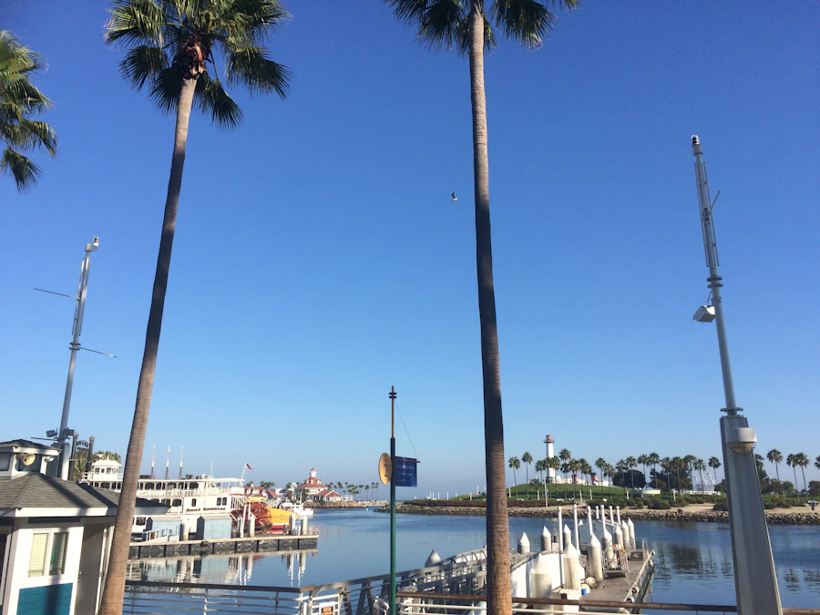 Flat coastal Florida marina with boats and palm trees for Stuart