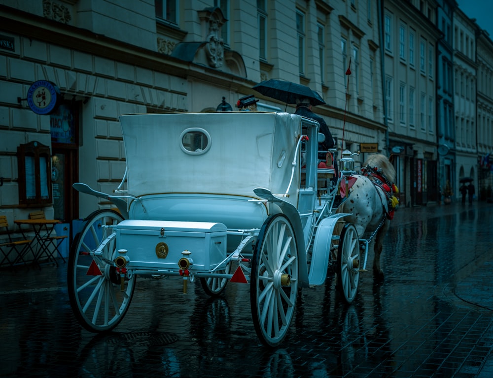 a horse drawn carriage on a city street in the rain