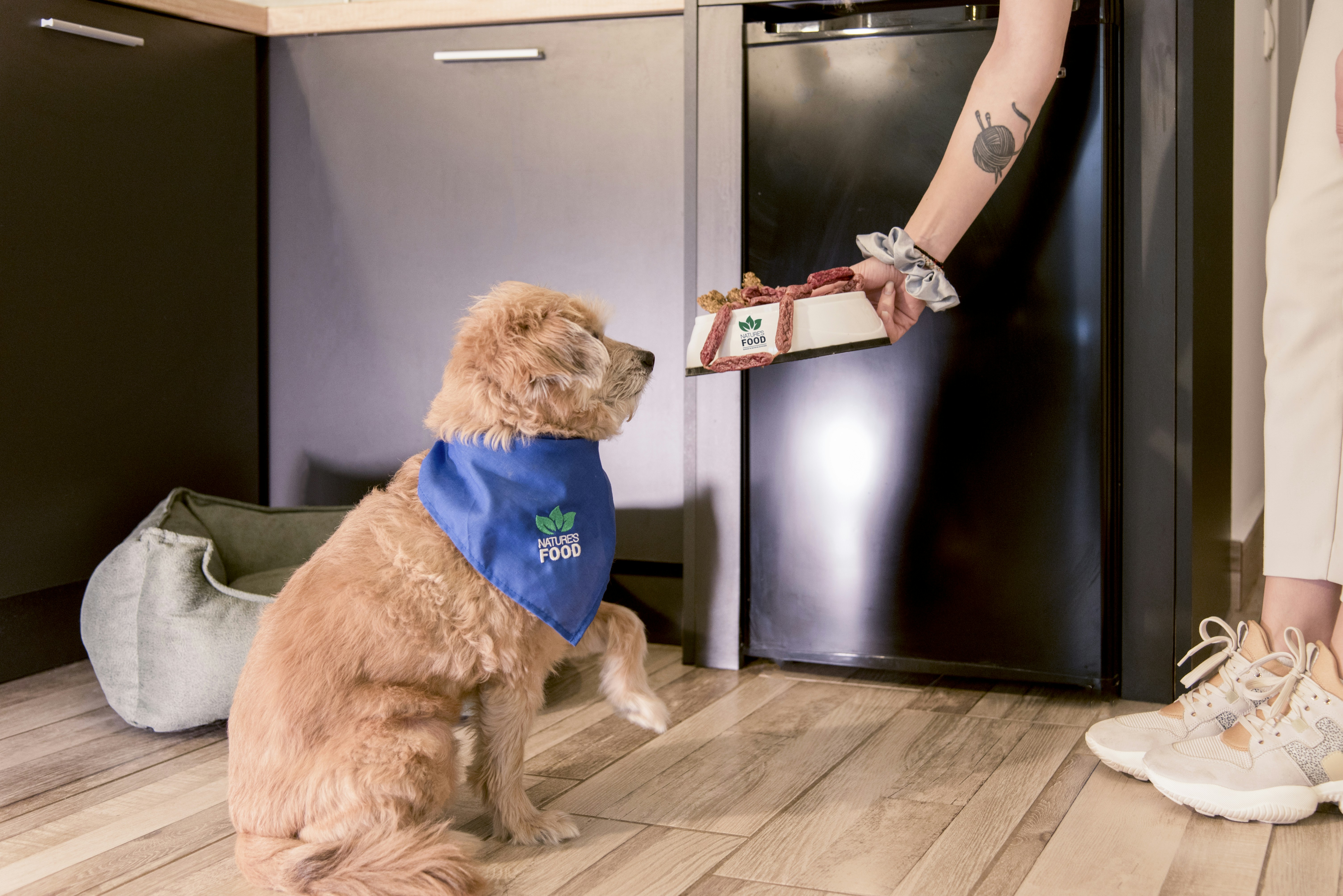 a dog sitting on the floor with a person holding a box of treats