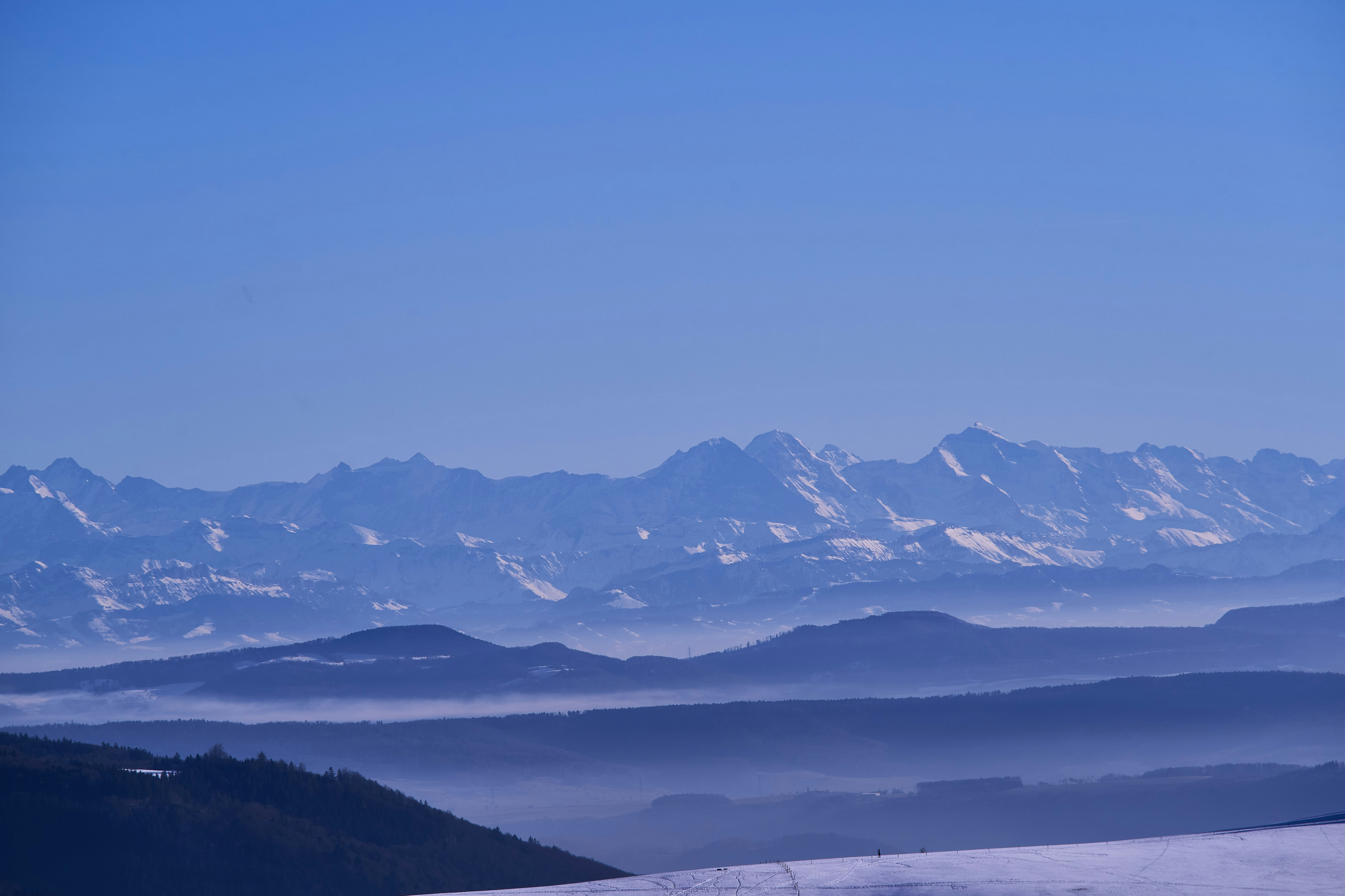 Photo by wolfgang_hasselmann