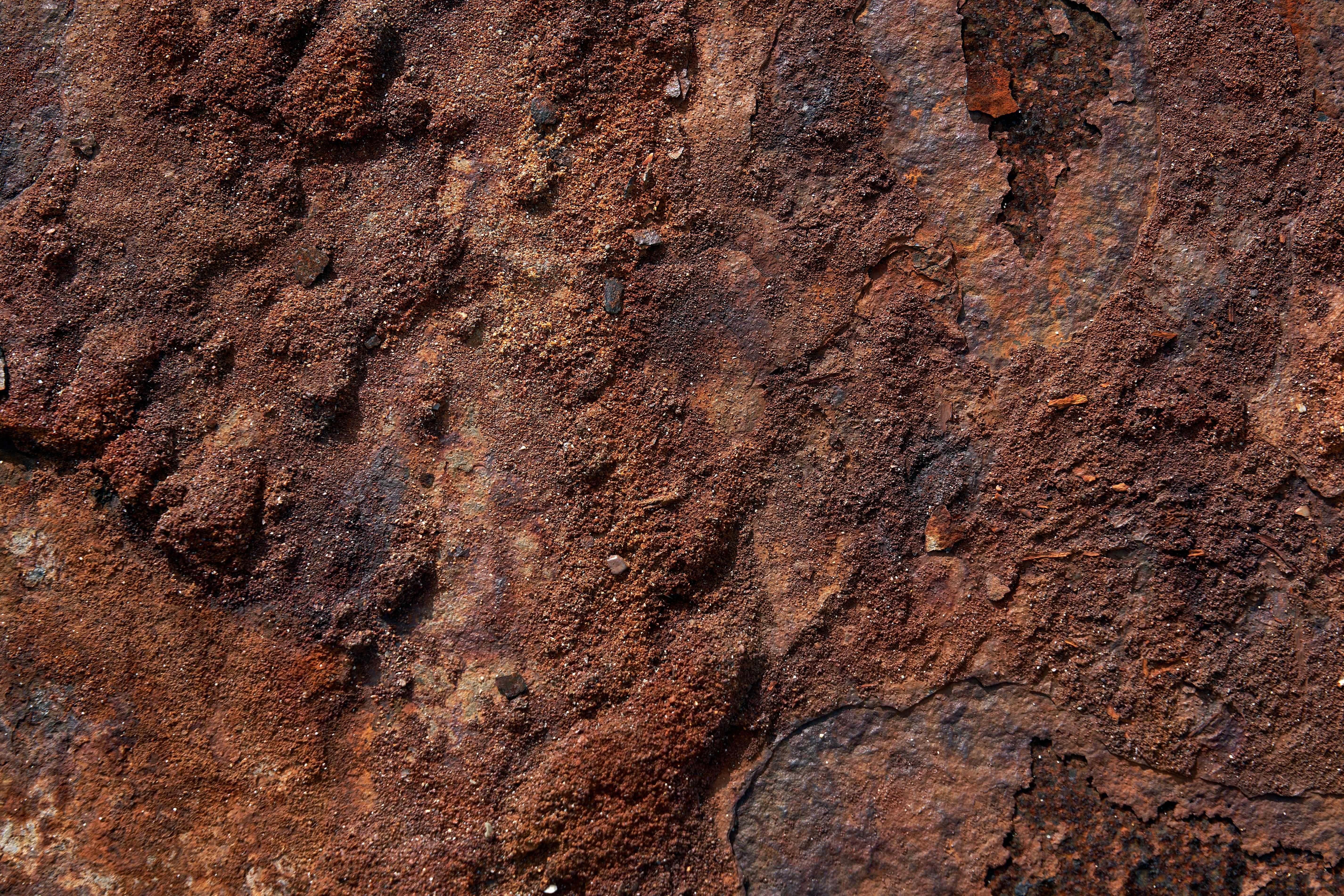 Photo by wolfgang_hasselmann