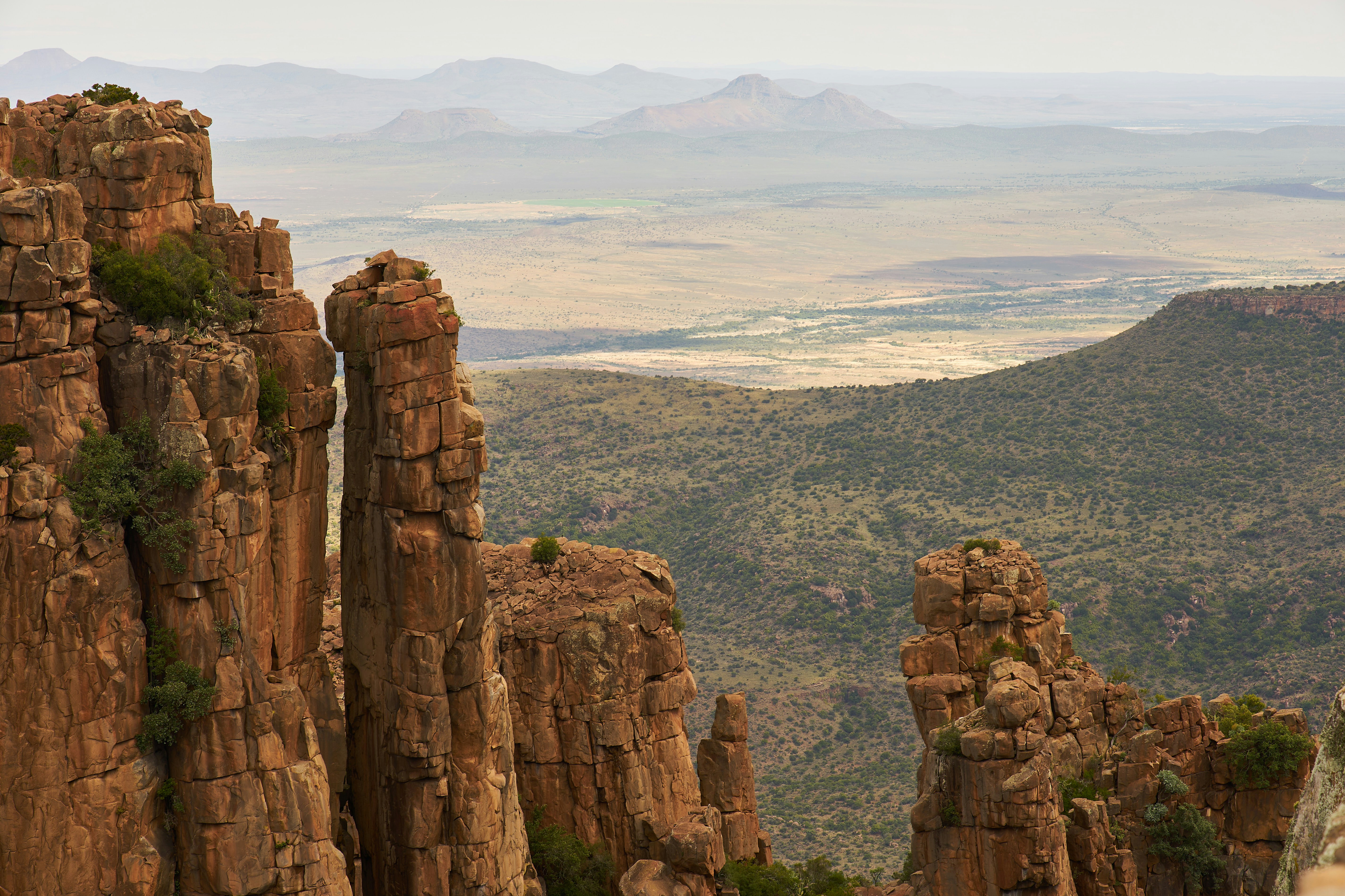 Photo by wolfgang_hasselmann