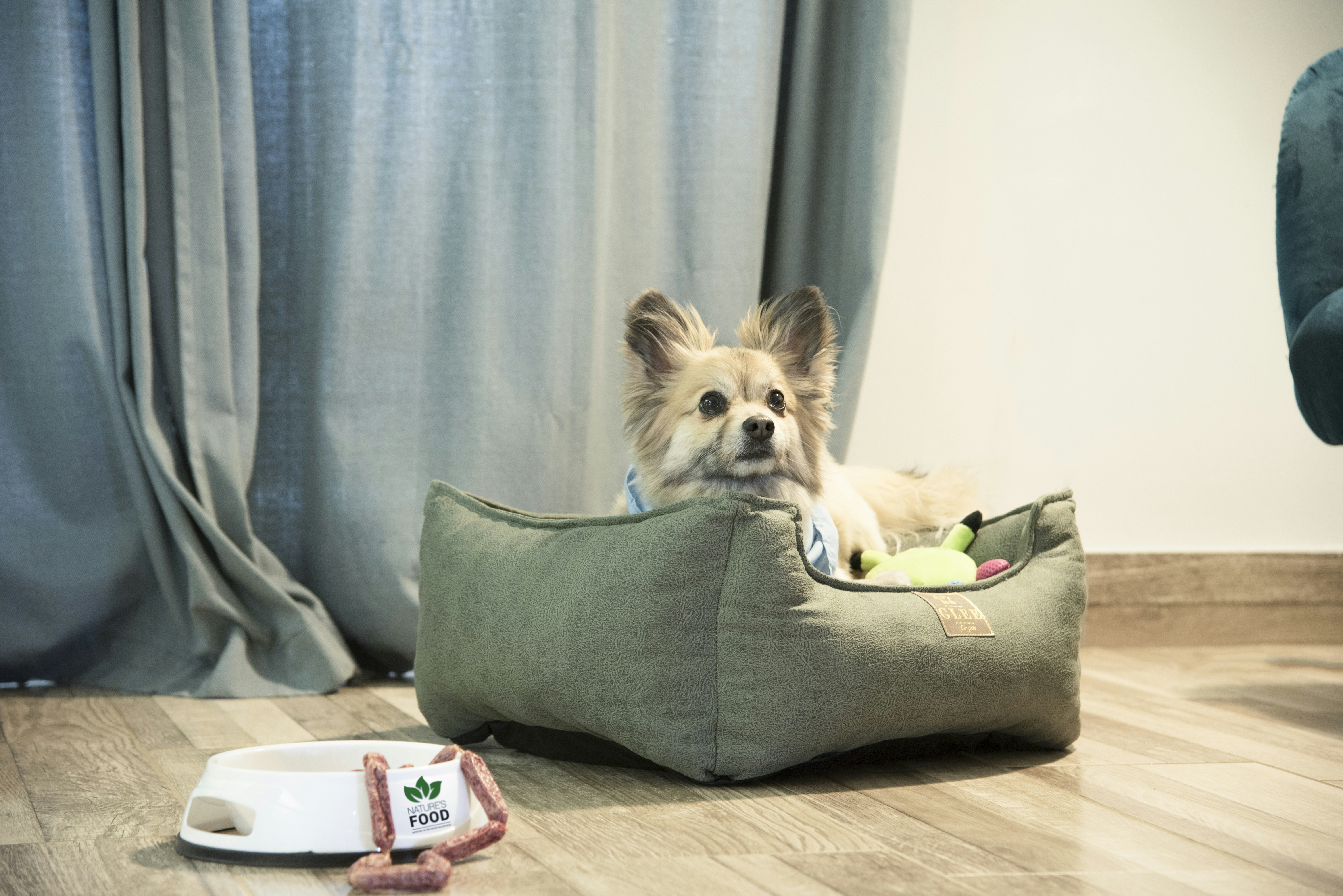 a small dog sitting in a dog bed on the floor