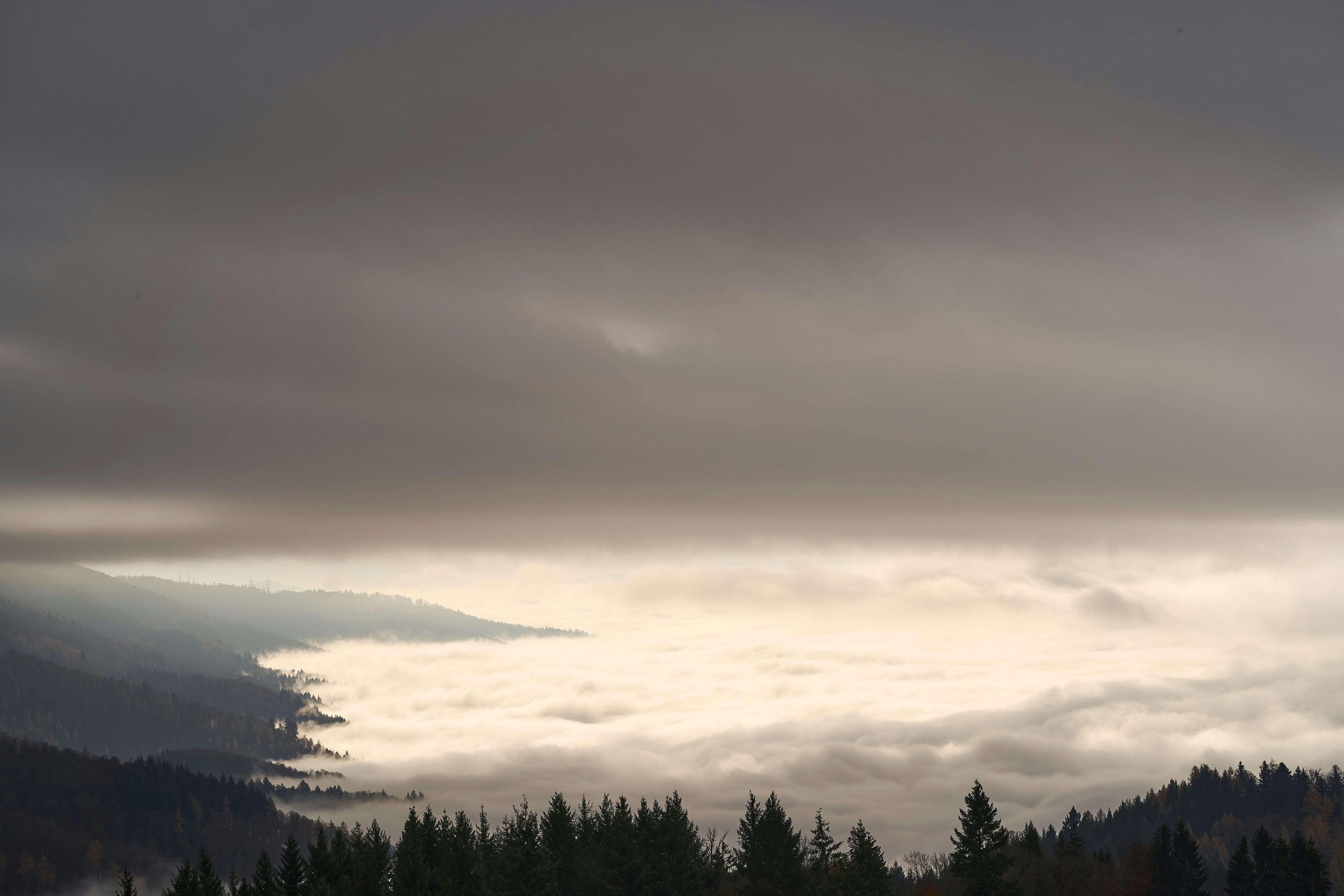 Photo by wolfgang_hasselmann