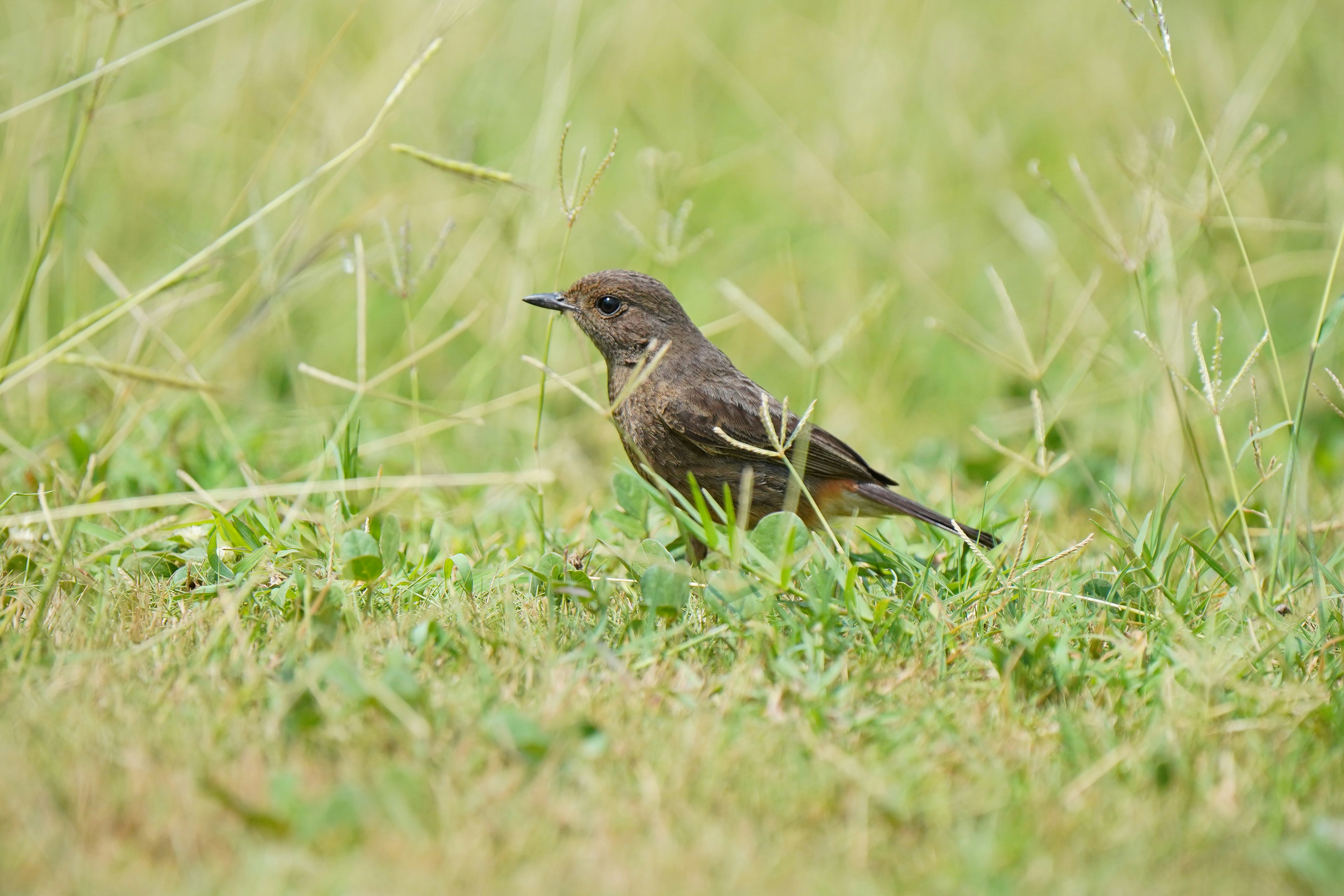 Photo by clicker_babu