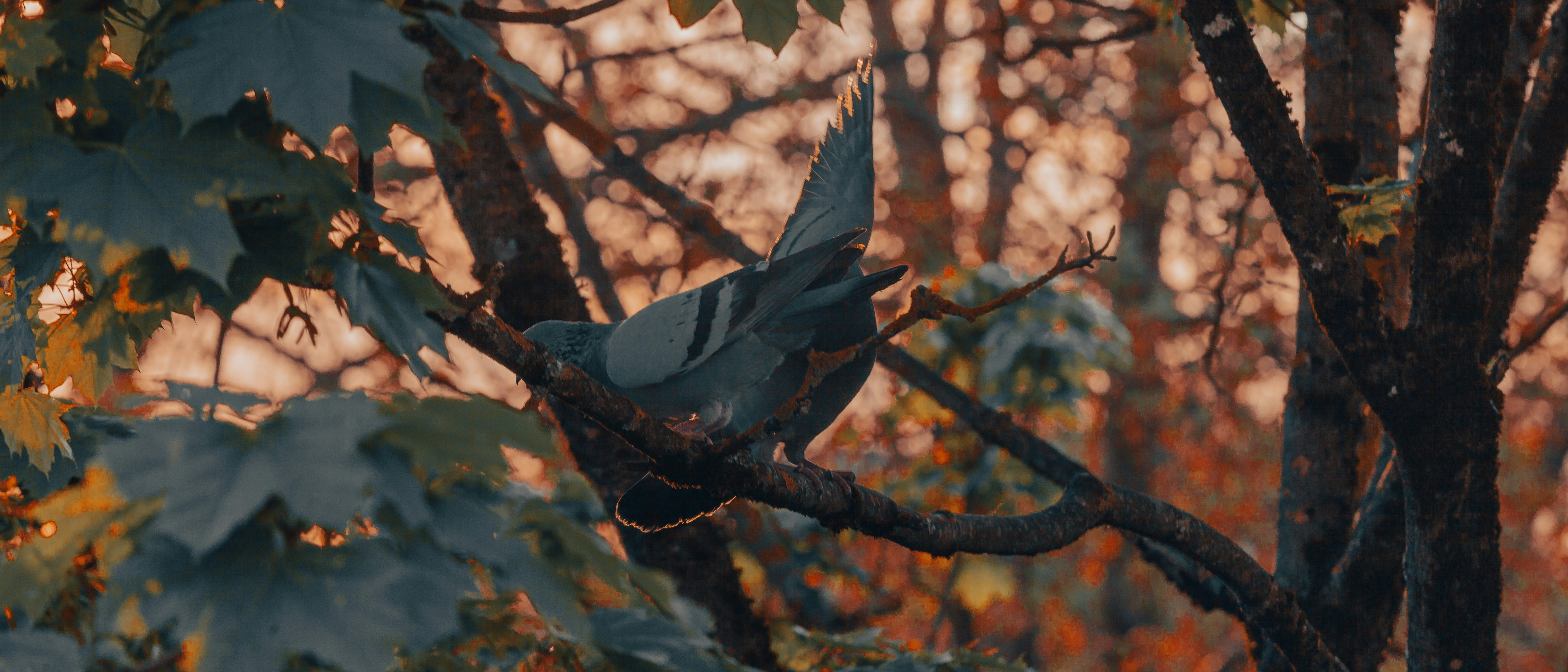 💊 내 안의 명의, 자연 치유력 풀파워 가동법!