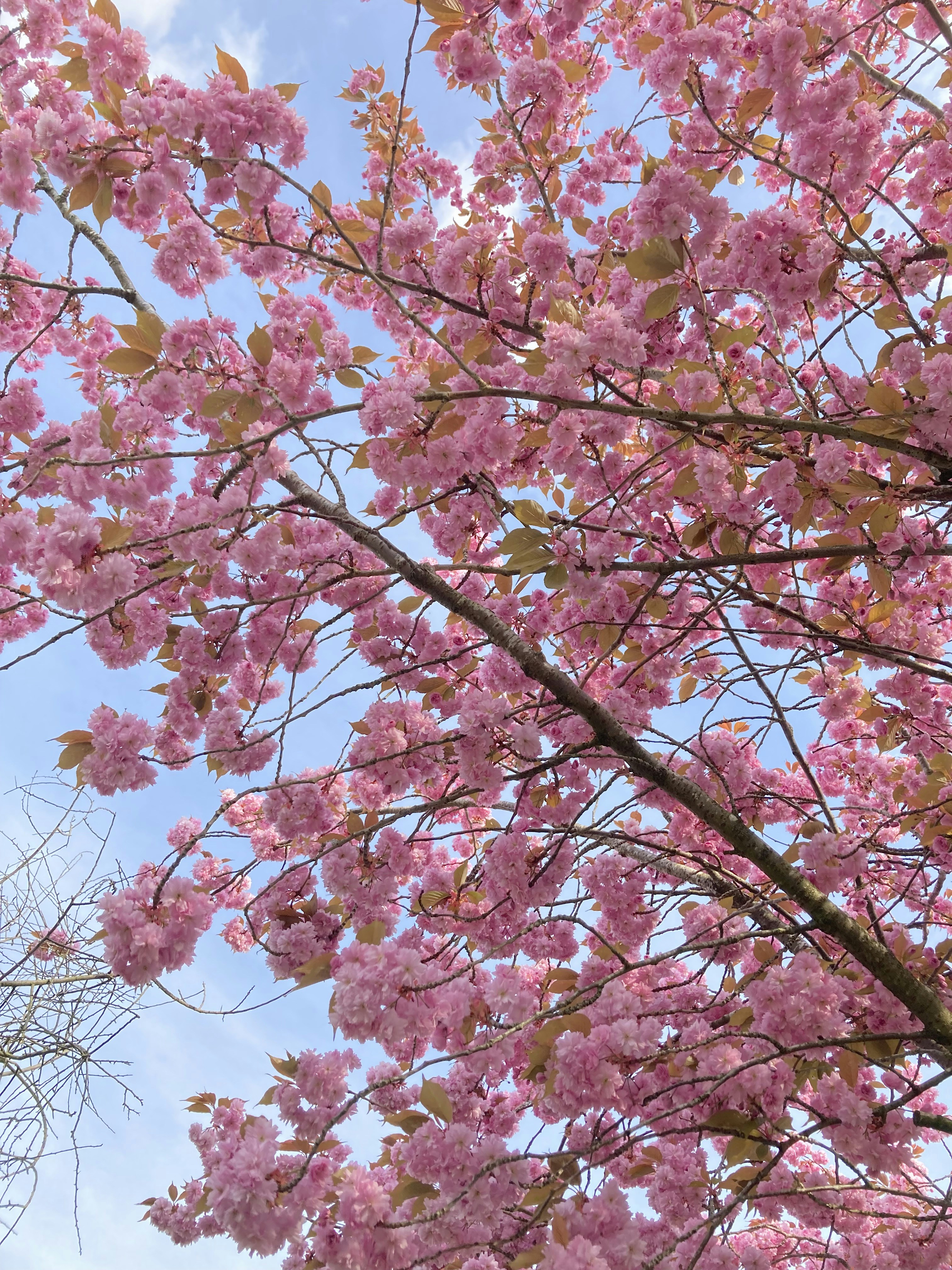 Photo by cehphotography64