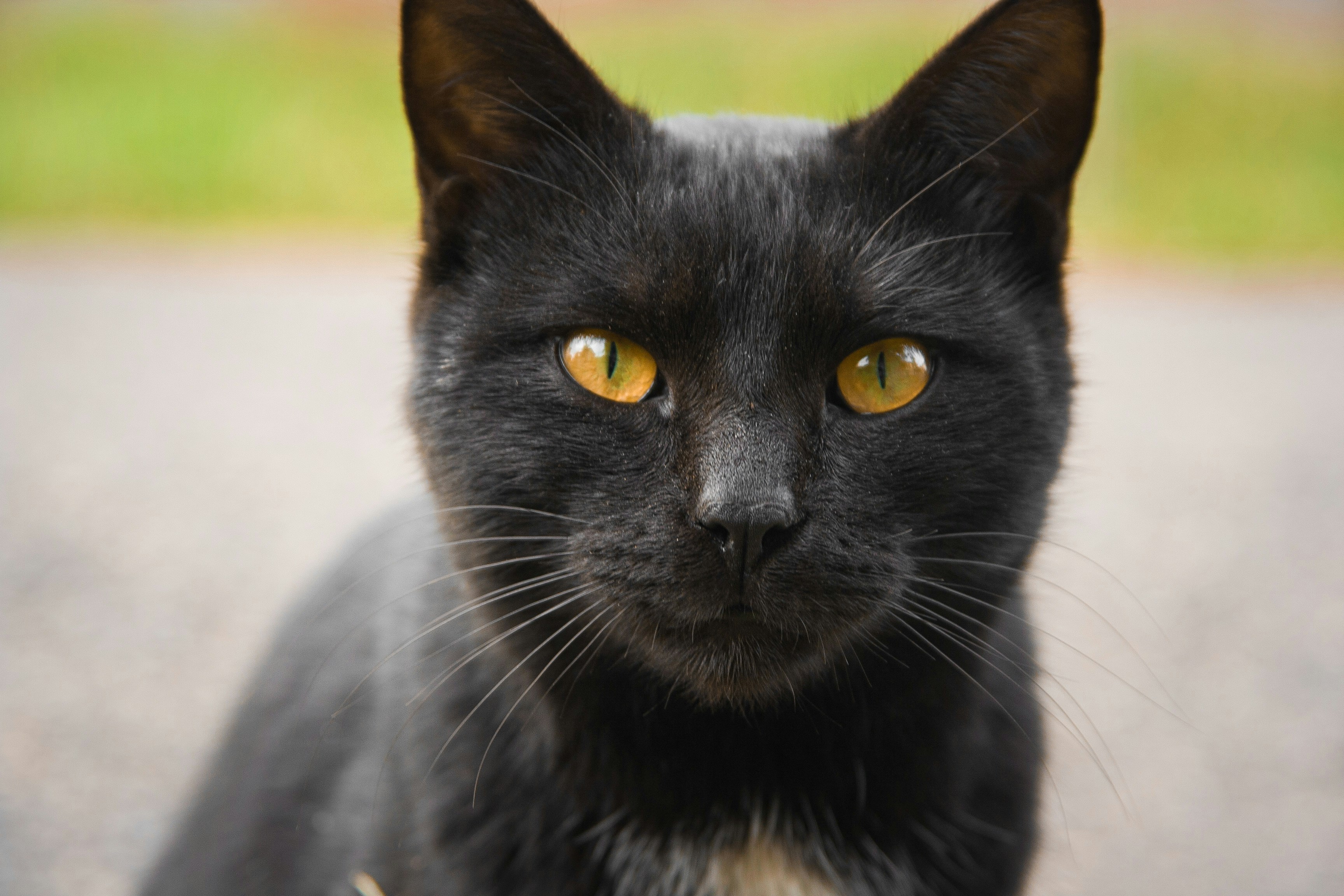 Photo by bita_eskandari