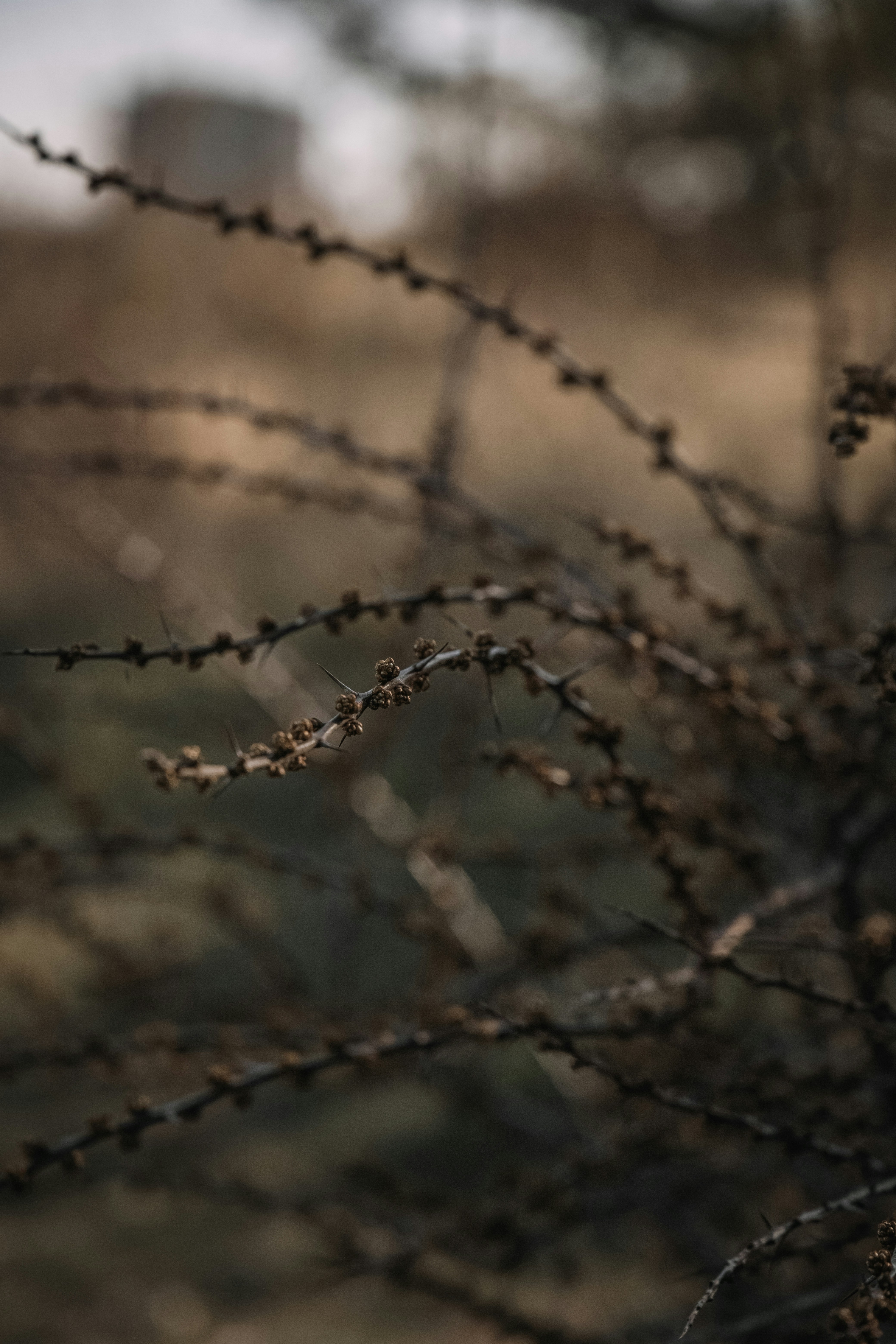 Photo by katharina_bill