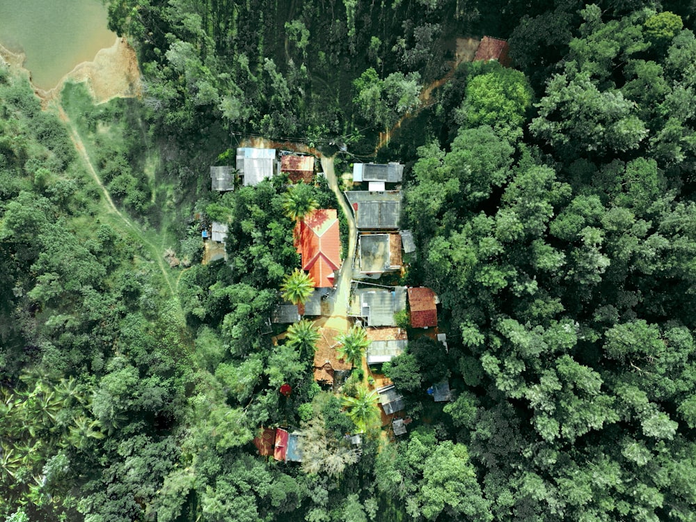a bird's eye view of a house in the middle of a forest