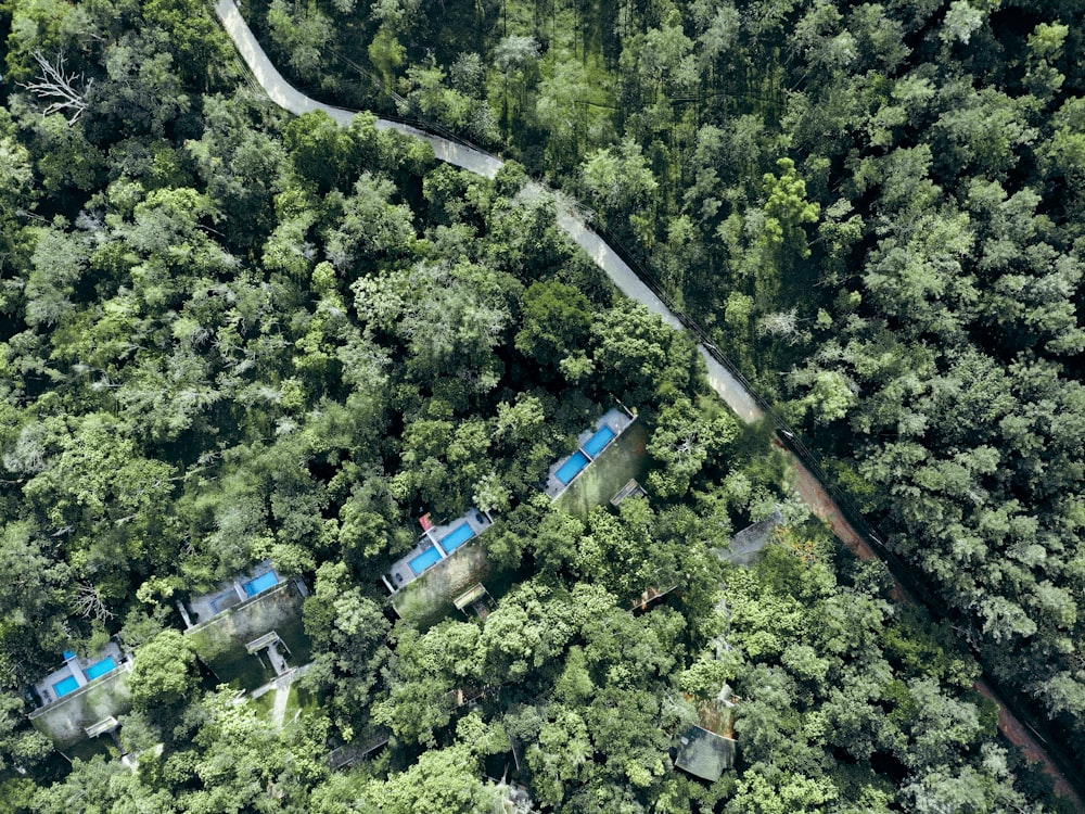 an aerial view of a road in the middle of a forest