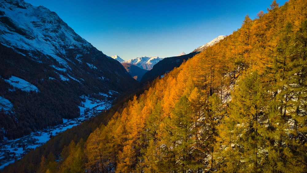 a scenic view of a mountain range with trees in the foreground