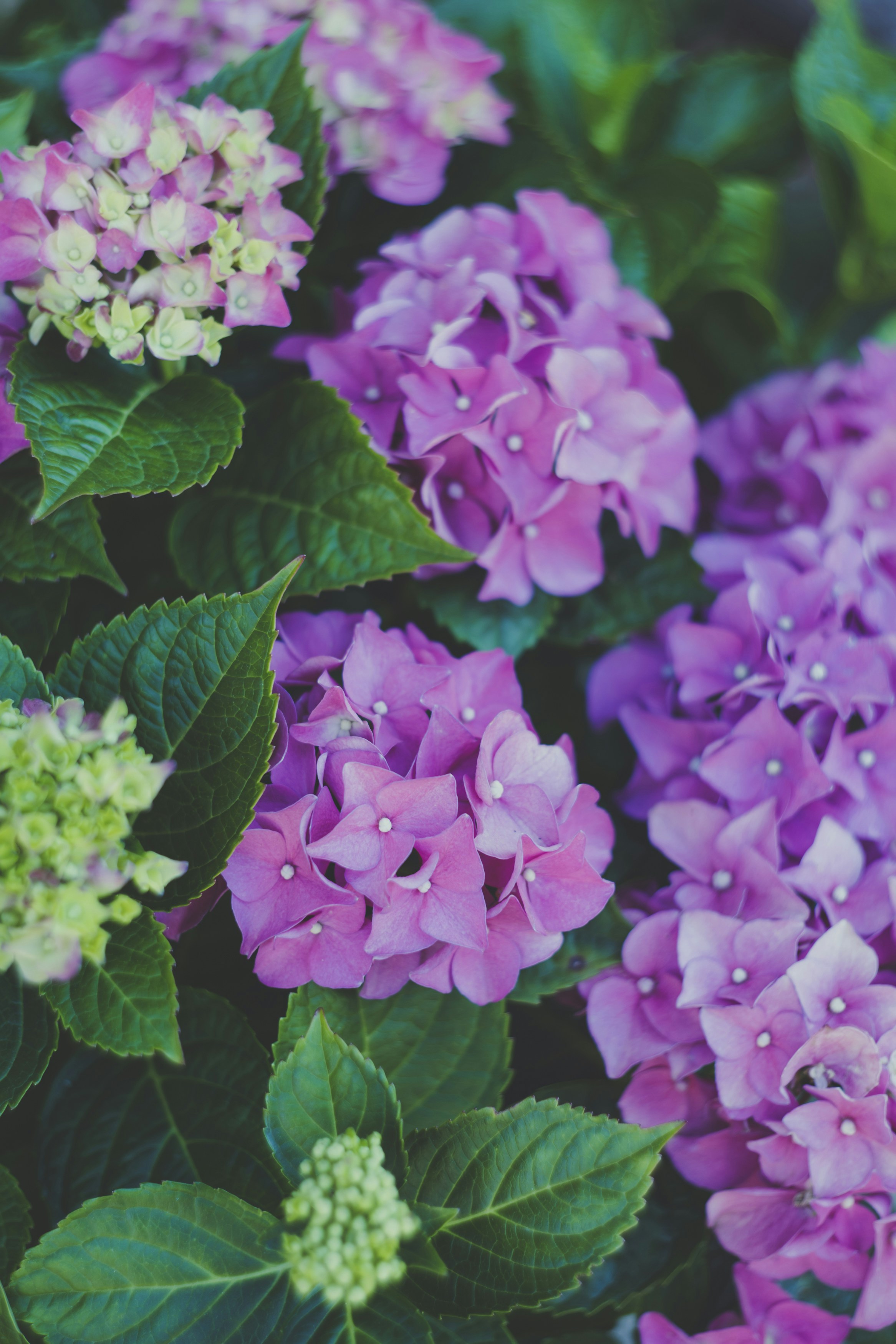 Photo by markusspiske