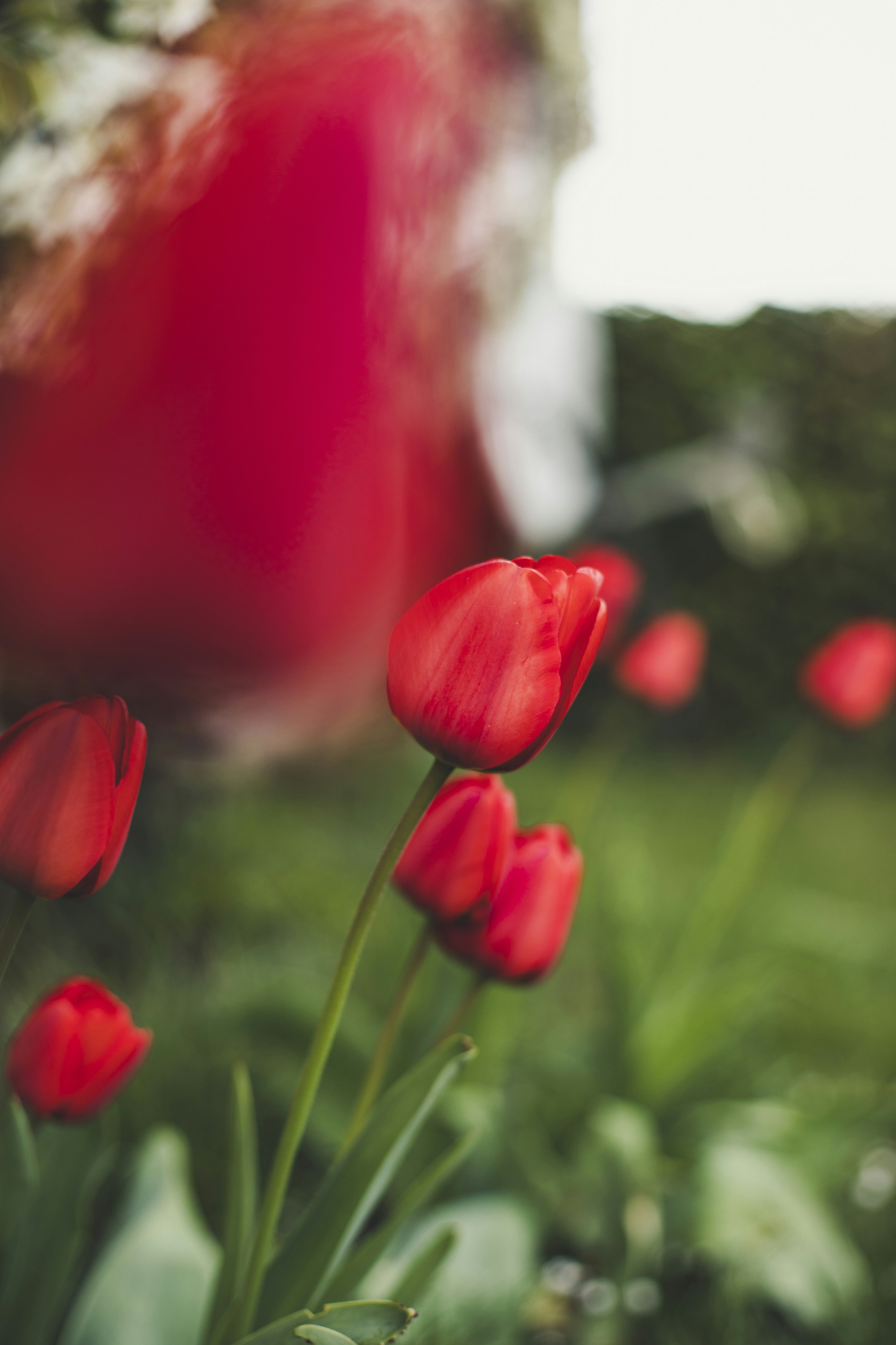 Photo by markusspiske