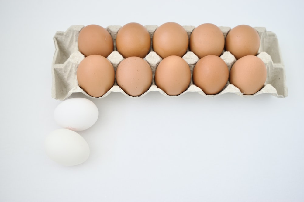 a carton of eggs next to a dozen eggs