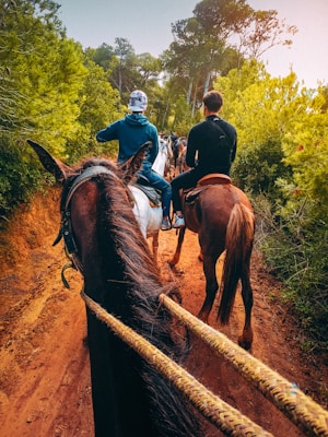 Two people are riding horses along a narrow dirt trail surrounded by lush green trees. The trail is set in a wooded area with soft, earthy tones. The riders are wearing casual clothing, and the scene captures a serene, natural setting.