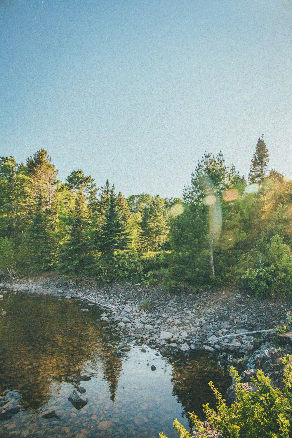 a body of water surrounded by trees and rocks