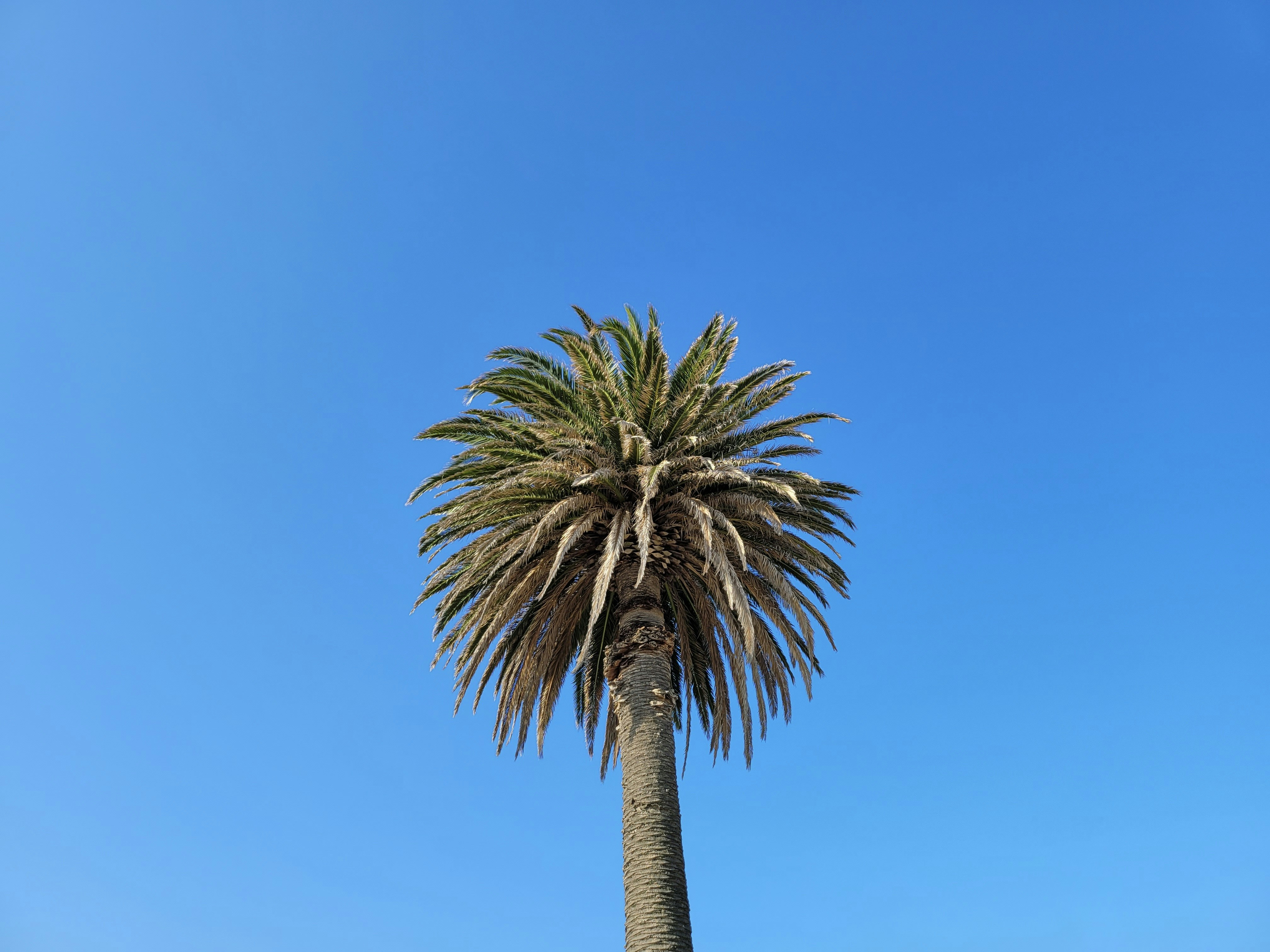 Photo by kesanamravi