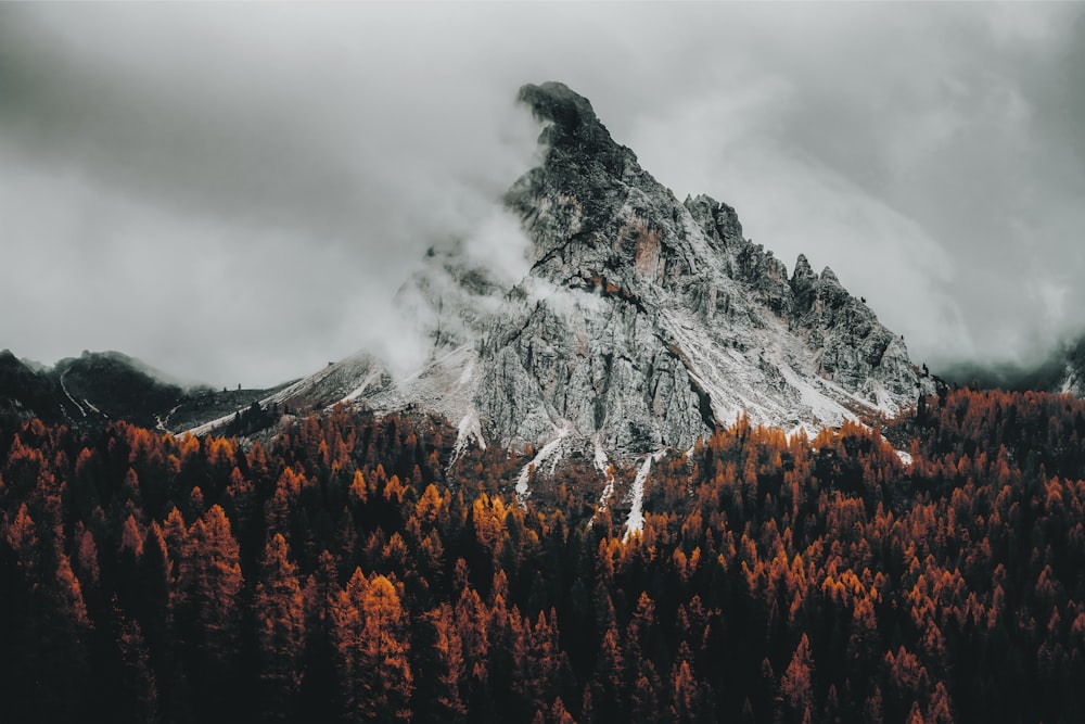 a mountain covered in trees under a cloudy sky