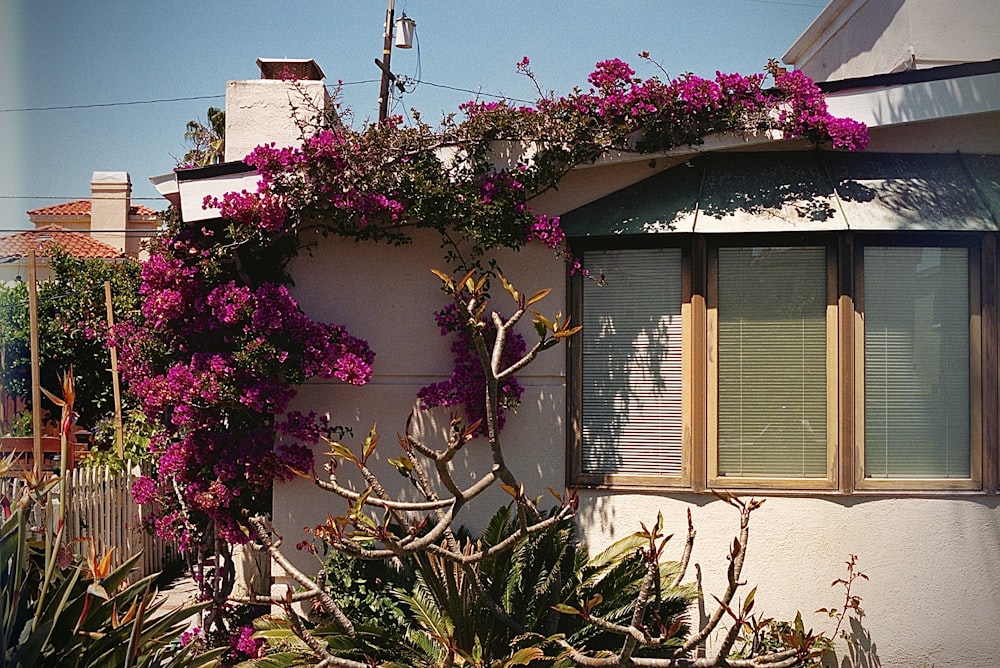 a house with flowers growing on the side of it