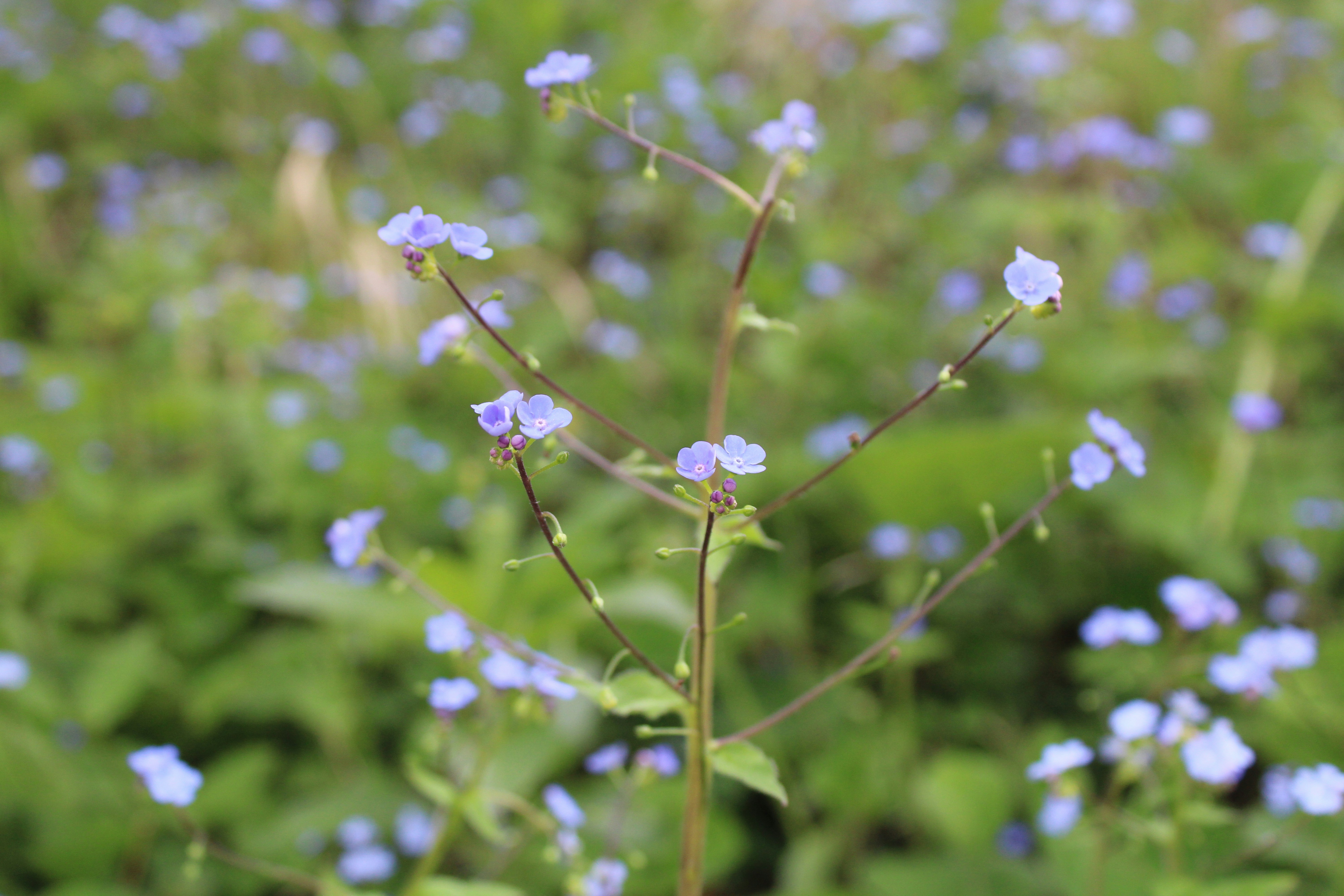 Photo by balesphotographyco