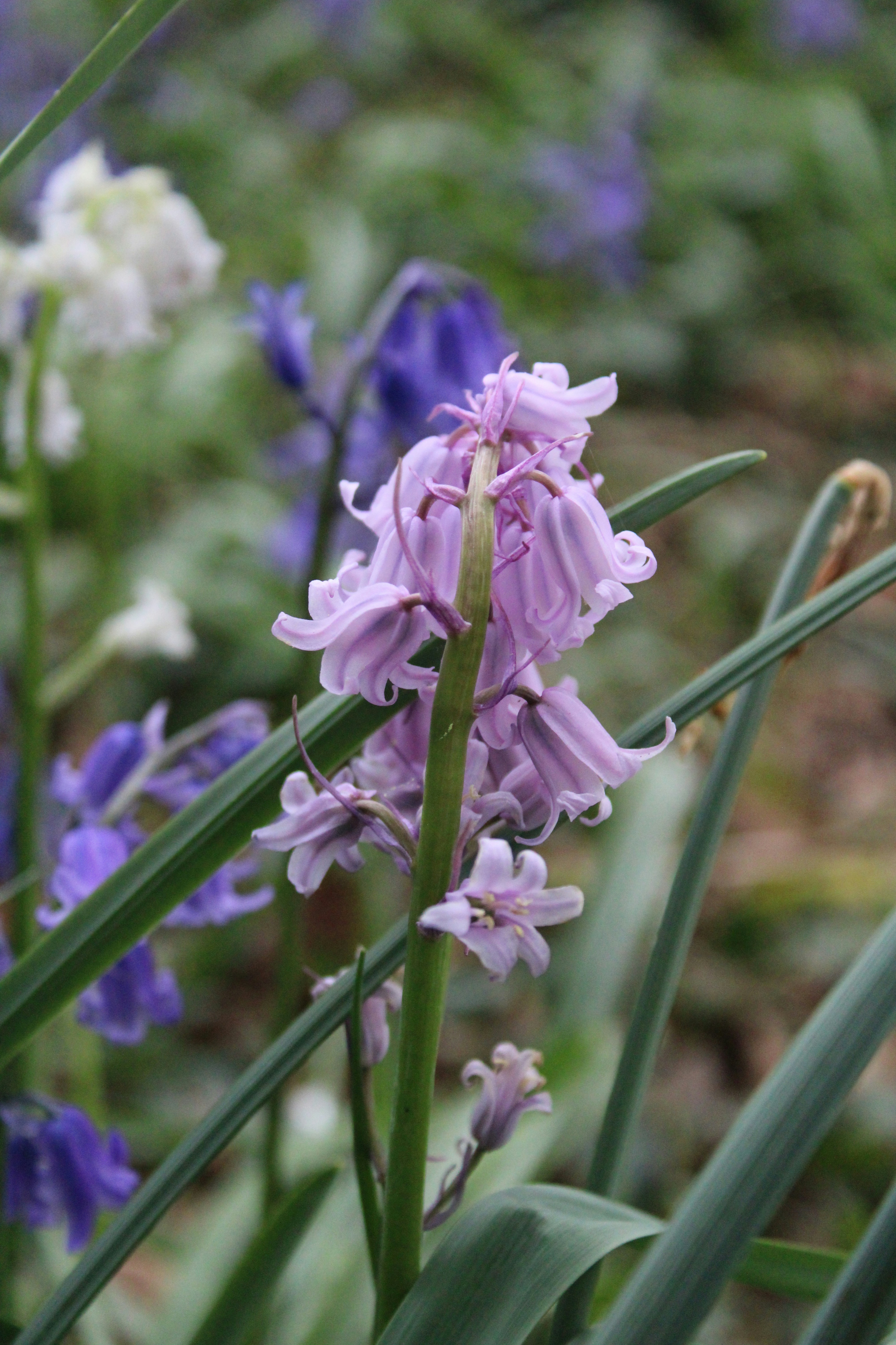 Photo by balesphotographyco