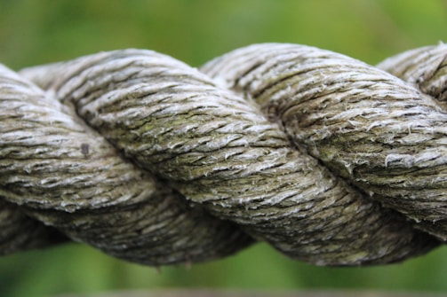 A close-up of a thick, twisted rope showcasing its fibrous texture and natural color variations. The greenish hue suggests it might be outdoors, possibly in a natural setting.