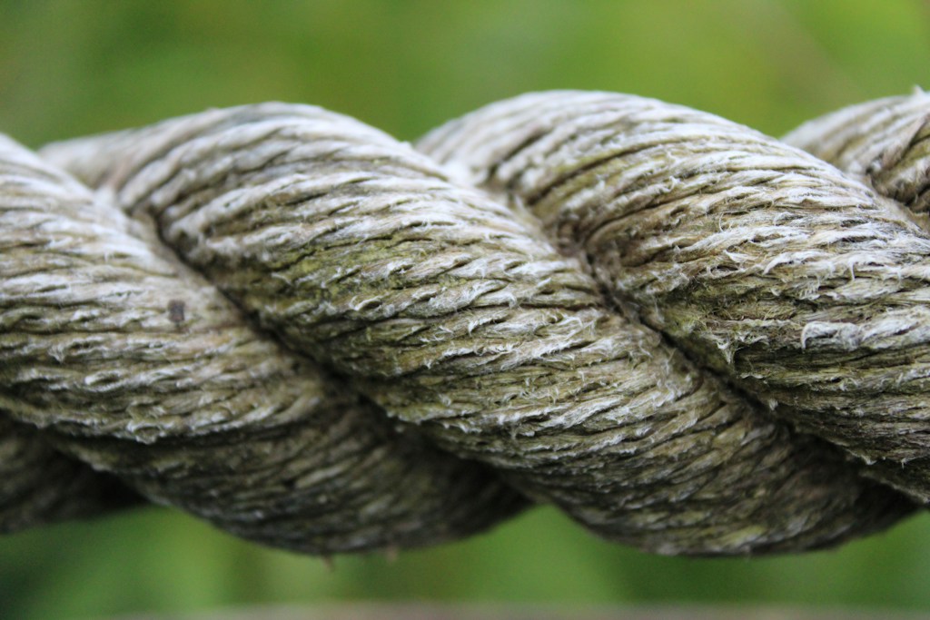 Juguete de Fibra Natural