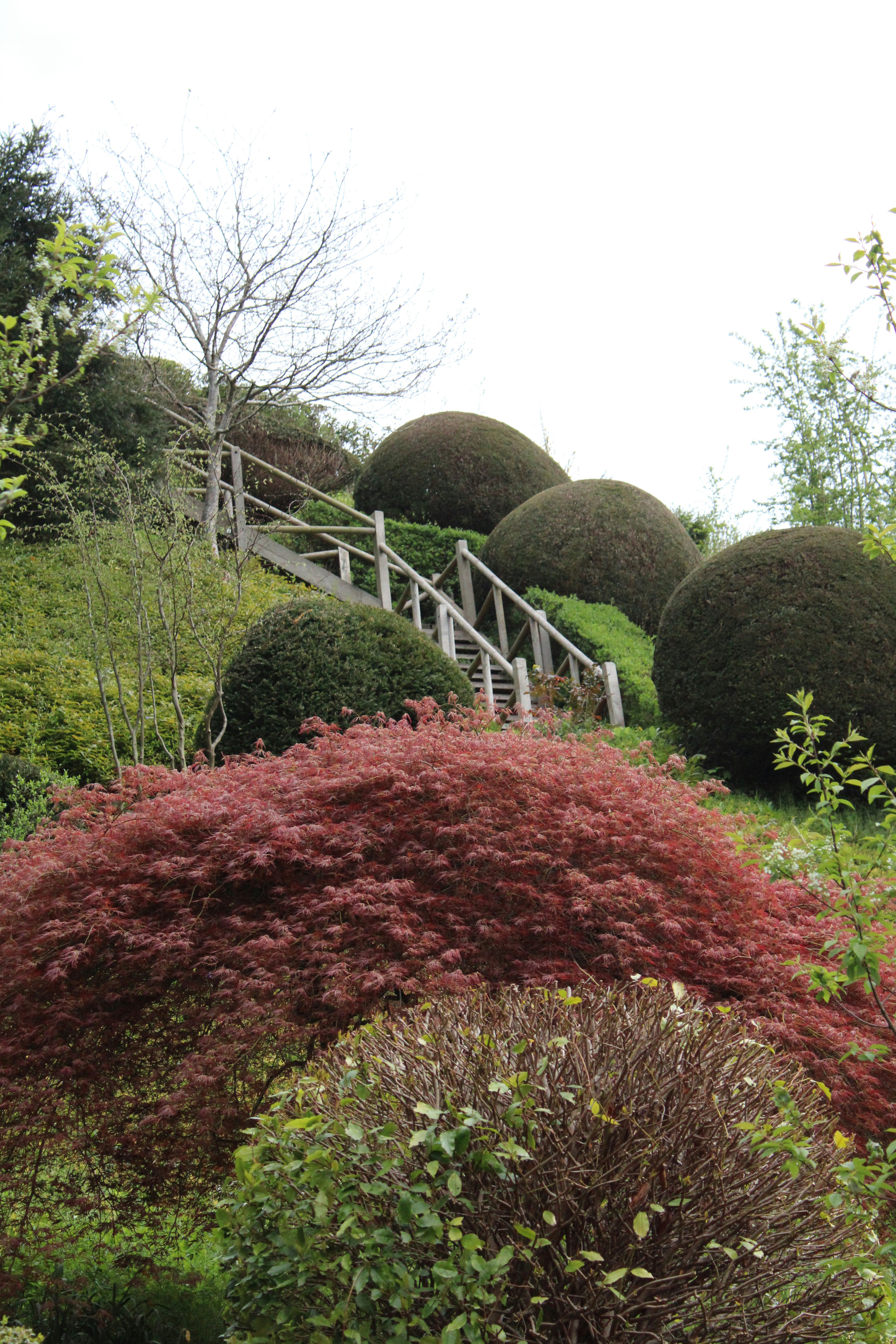 a bunch of bushes that are next to a set of stairs
