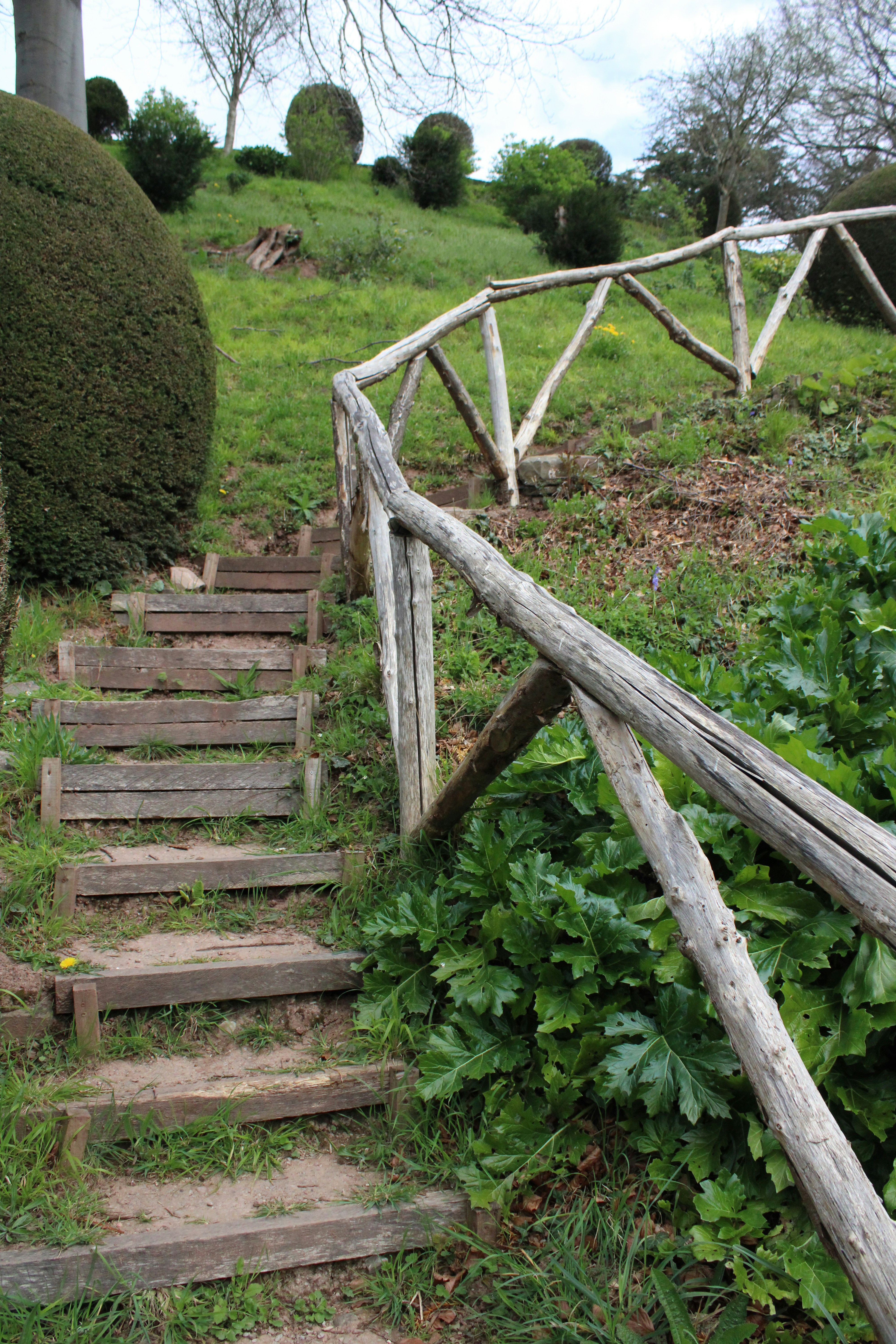 Photo by balesphotographyco