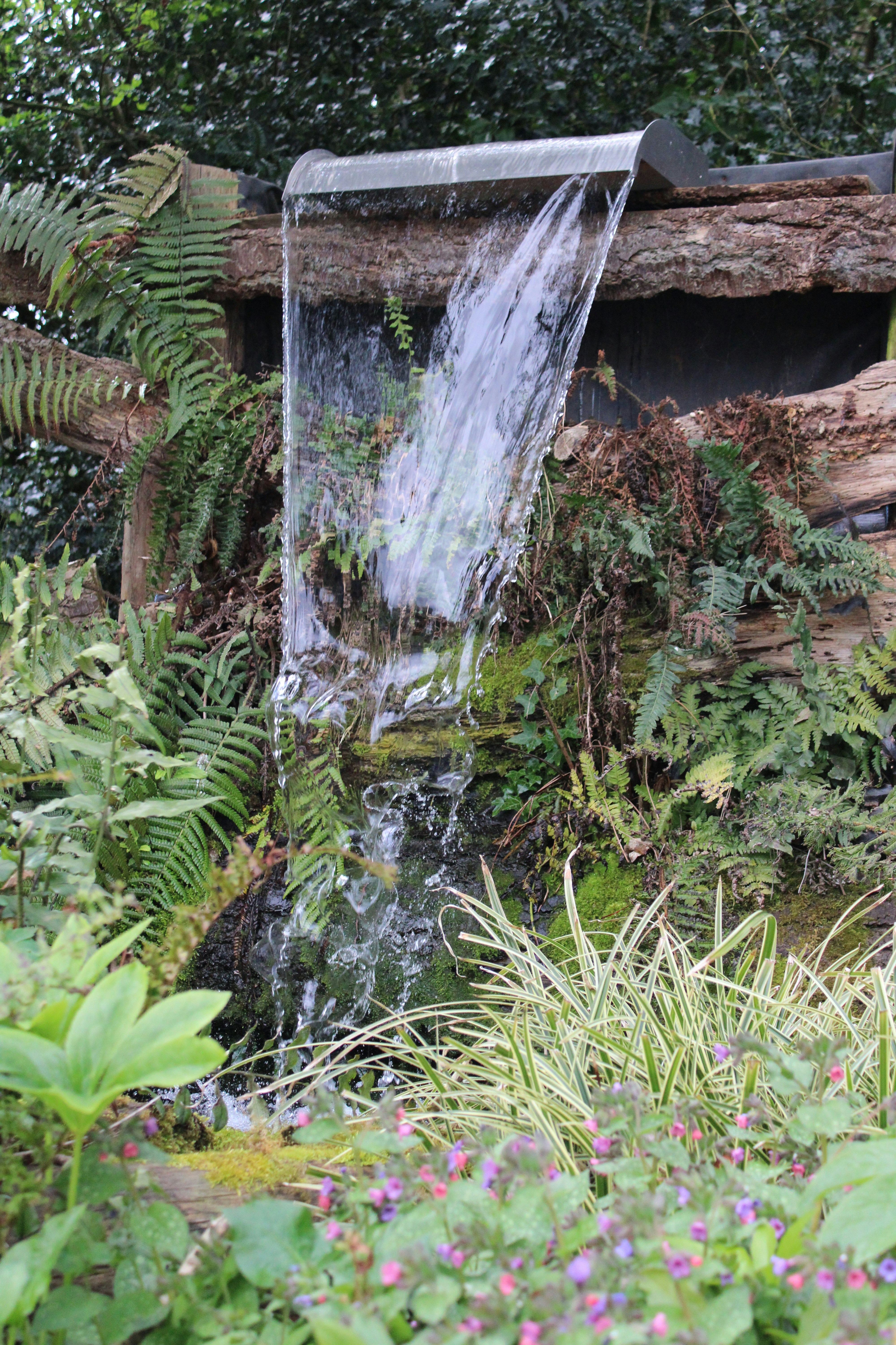 Photo by balesphotographyco