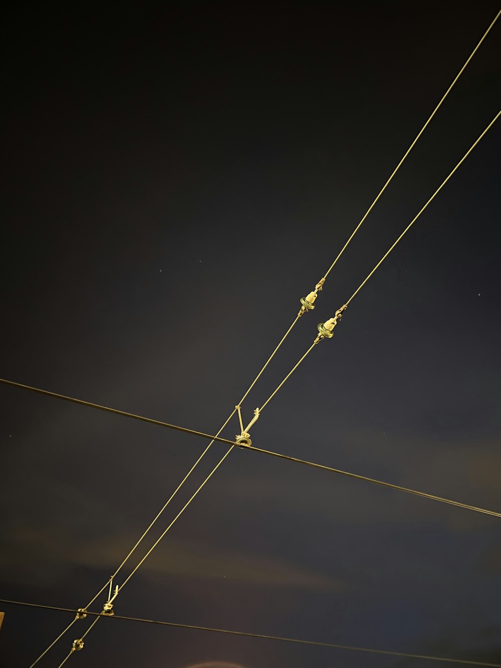 a couple of birds sitting on top of power lines