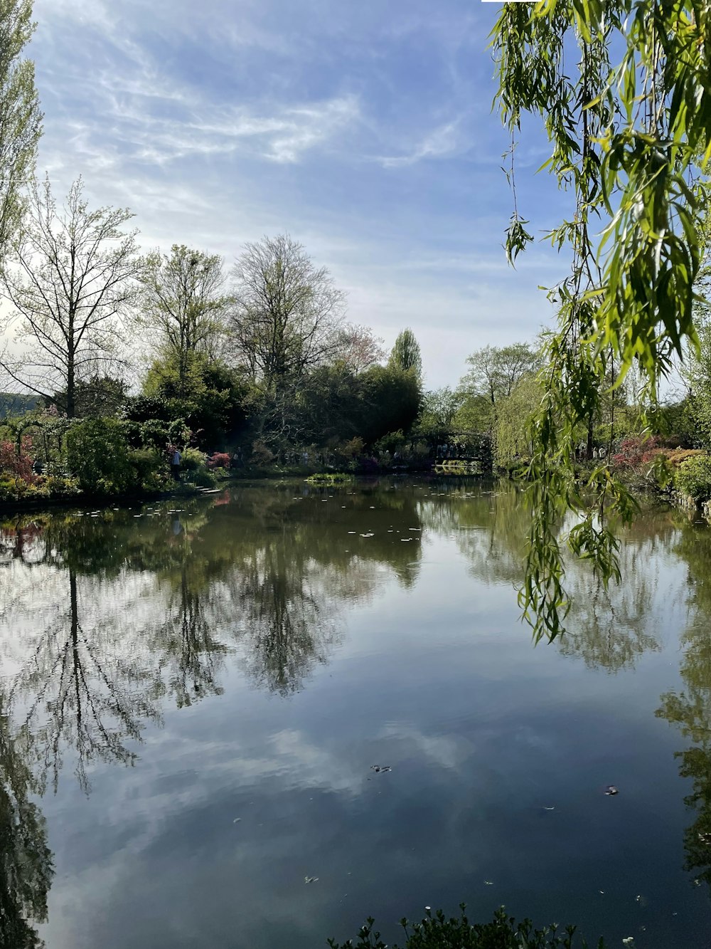 uno specchio d'acqua circondato da alberi e cespugli