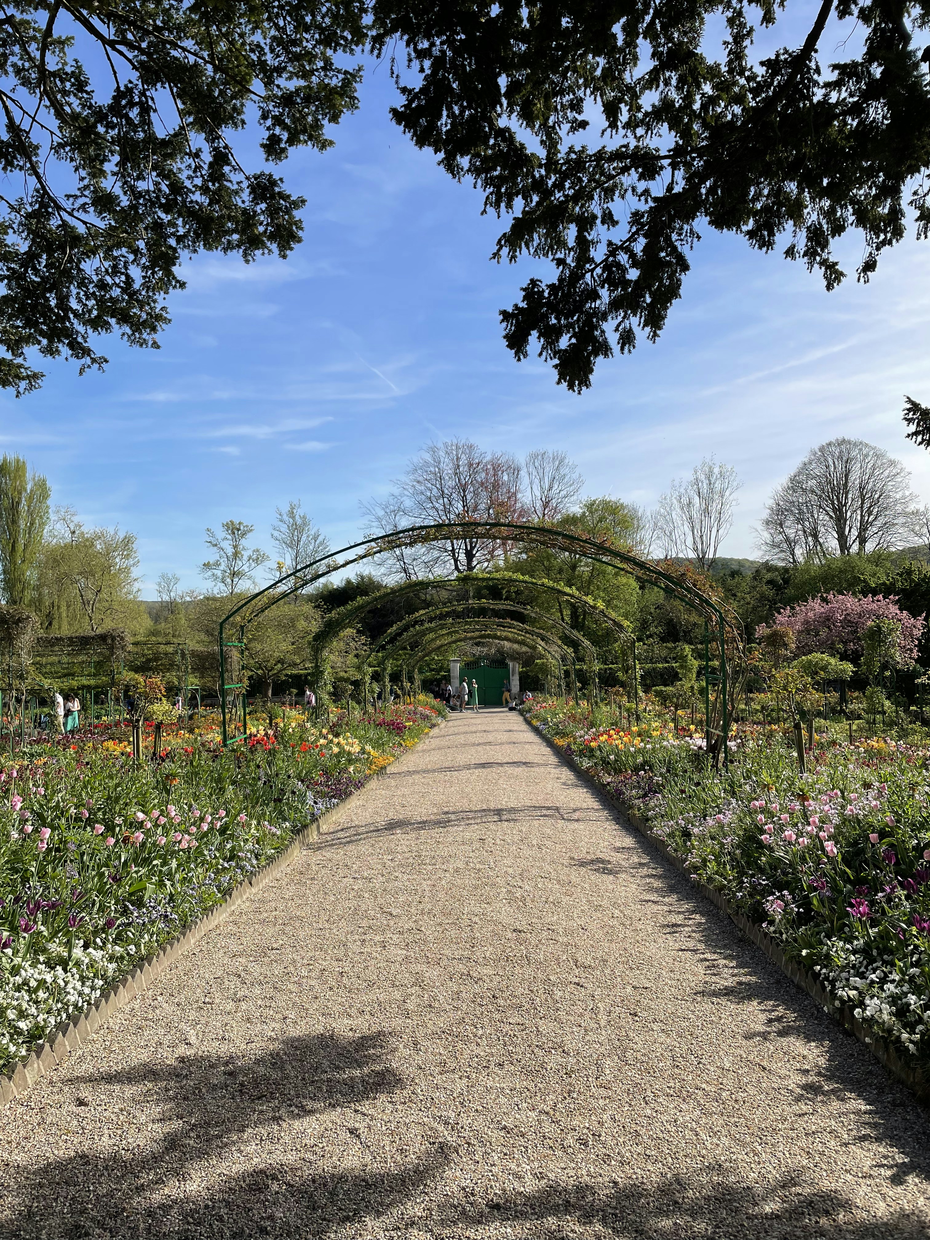 Photo by dorianlesenechal