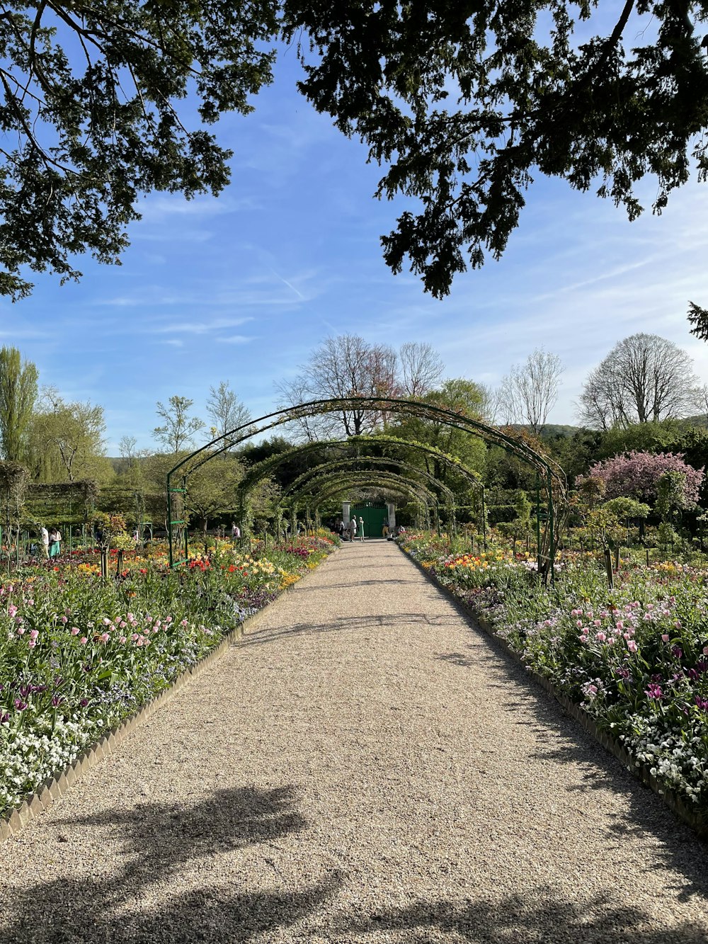 a pathway through a garden with lots of flowers