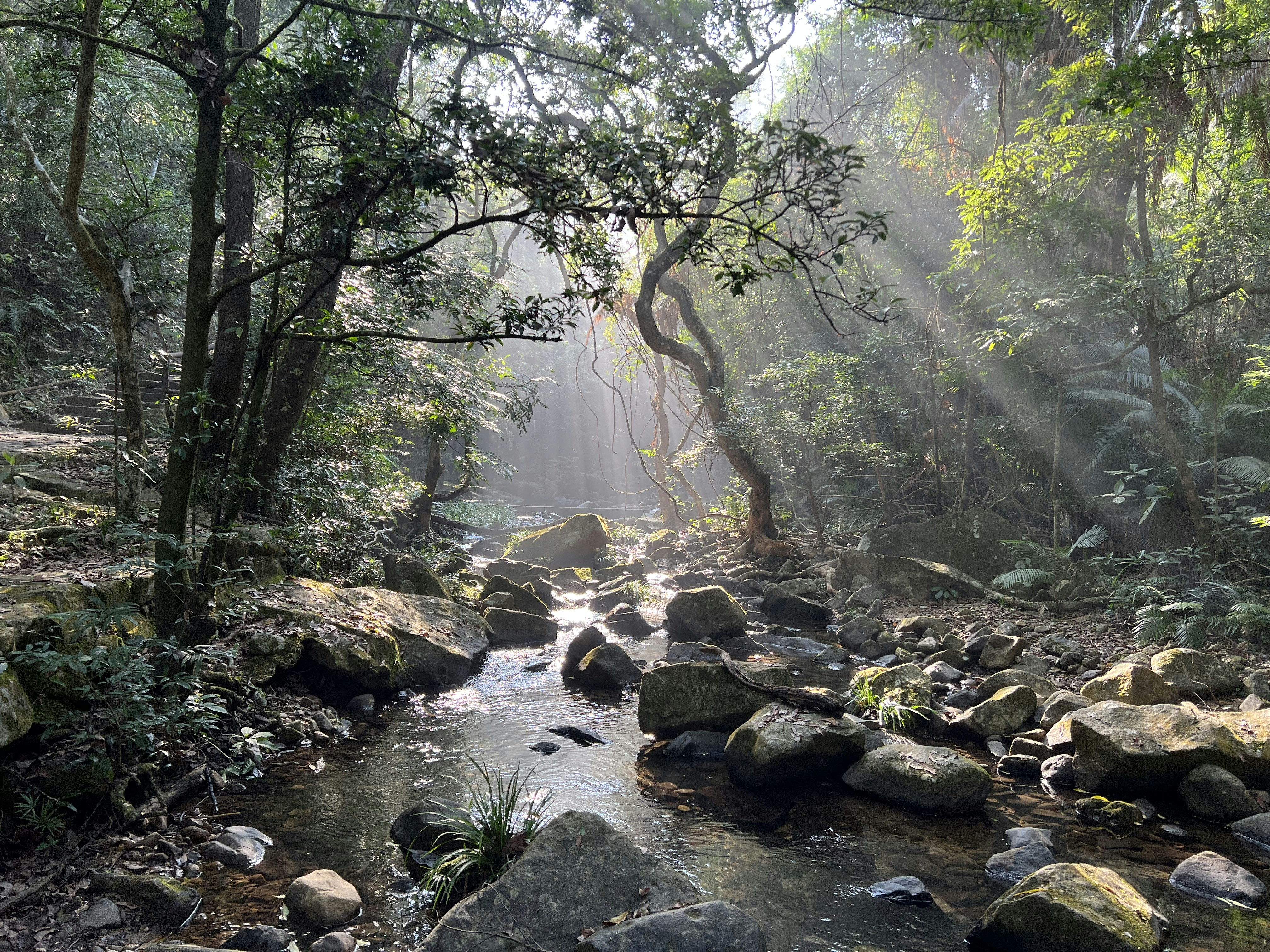 Hill Stations Around Munnar