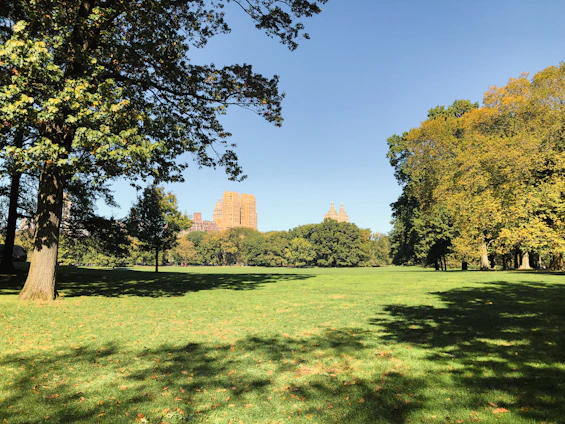 A flat, open plot with fresh grass and a backdrop of tall city buildings.