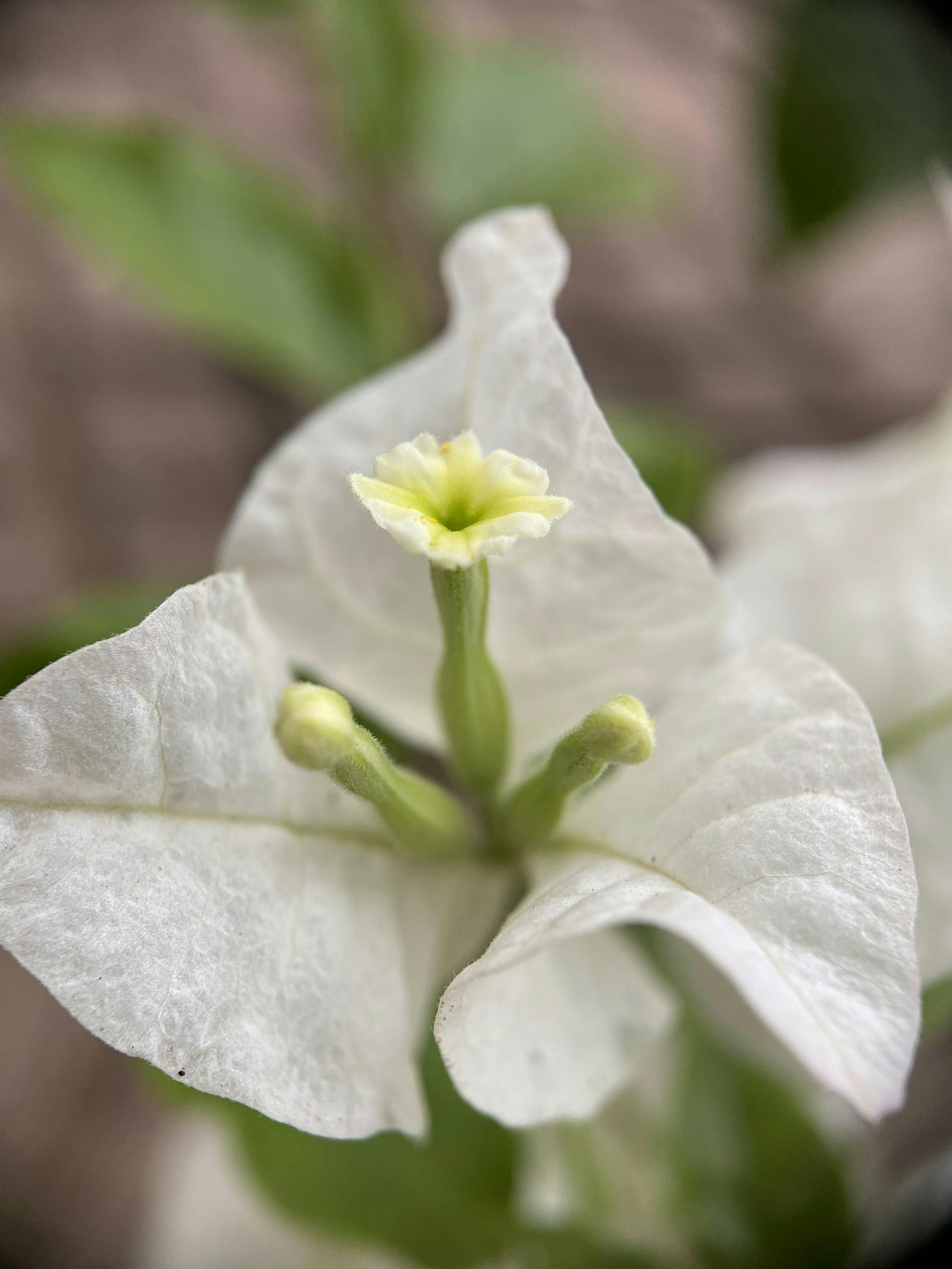 Photo by thoeunratana