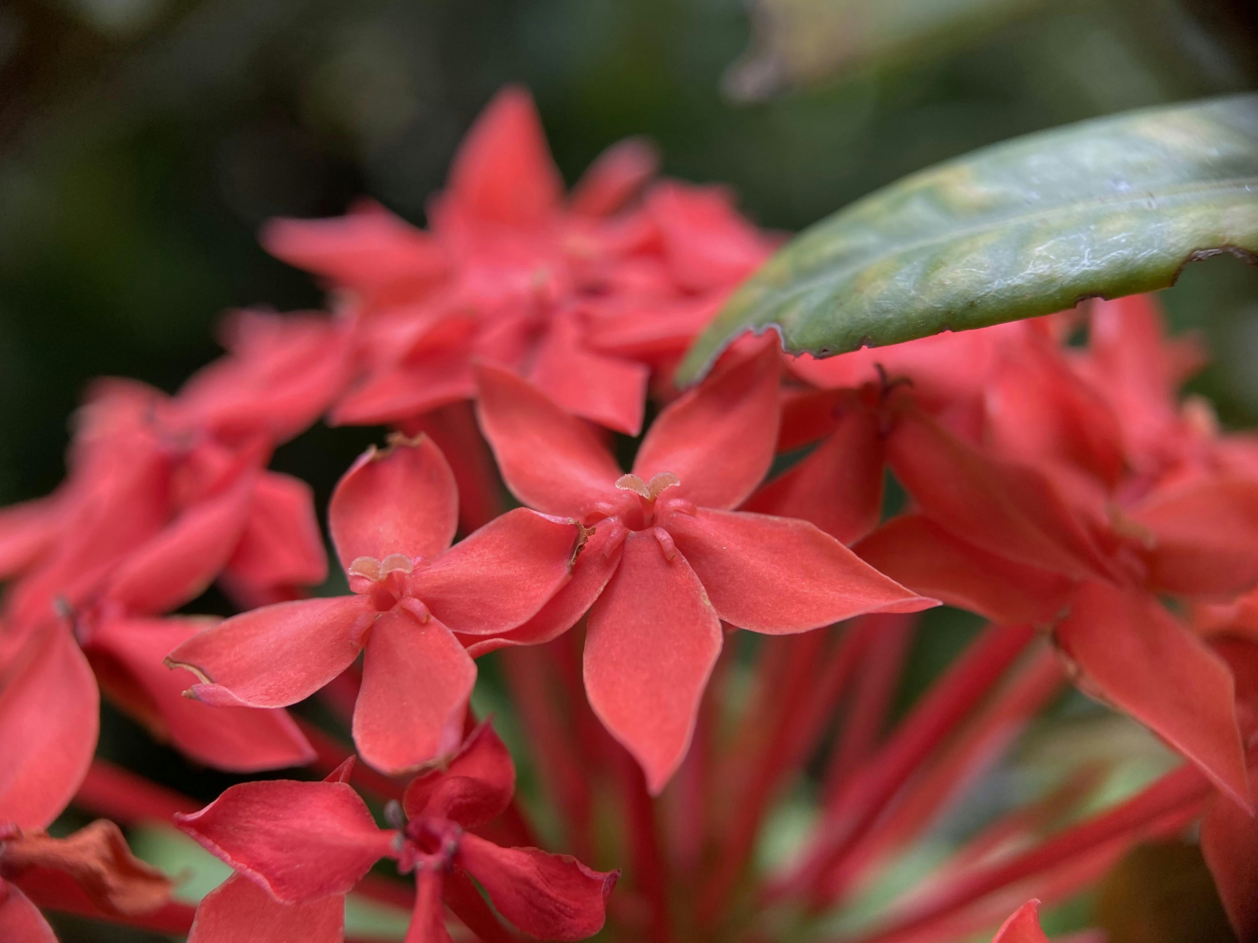 Photo by thoeunratana