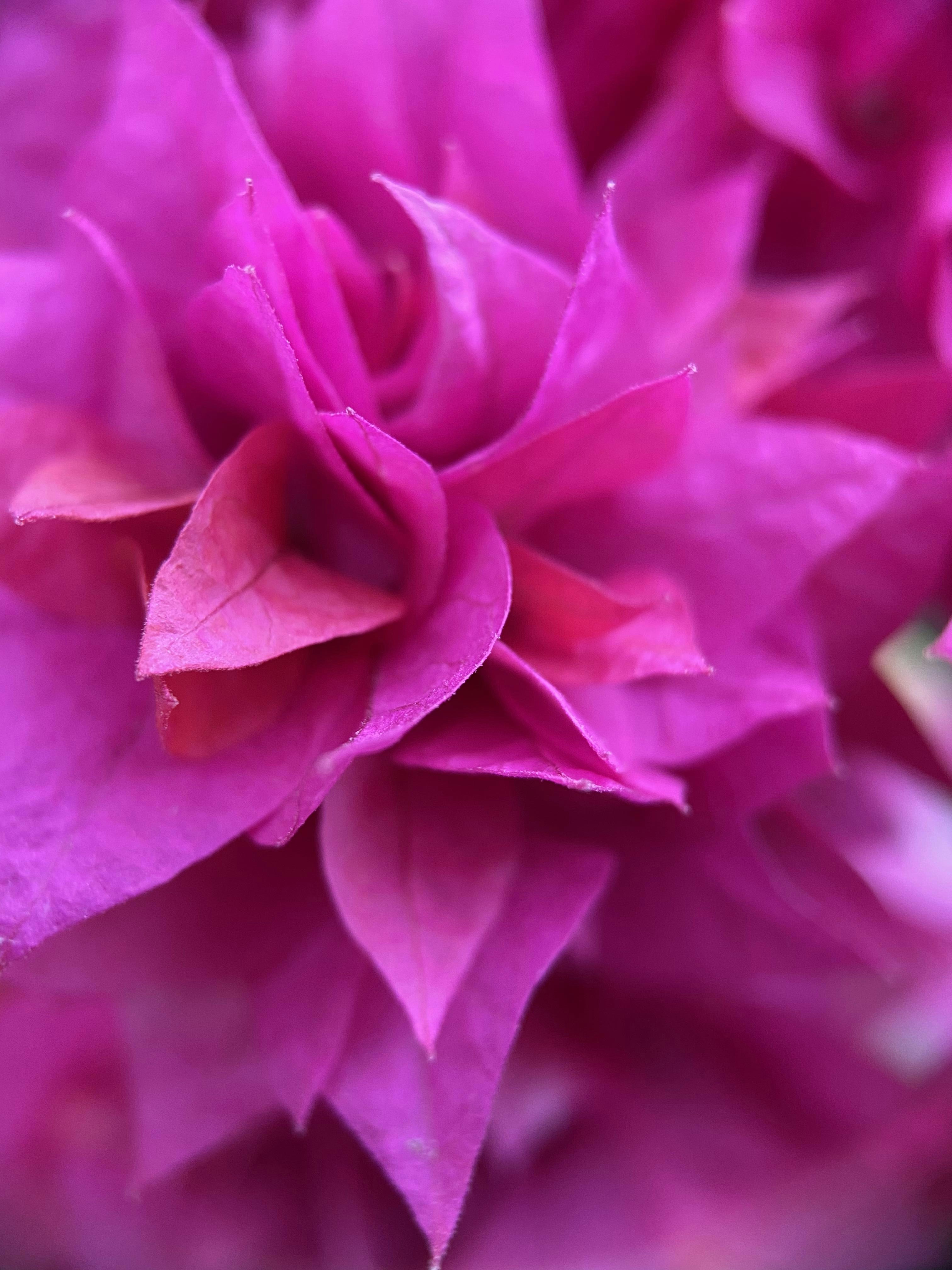 Photo by thoeunratana