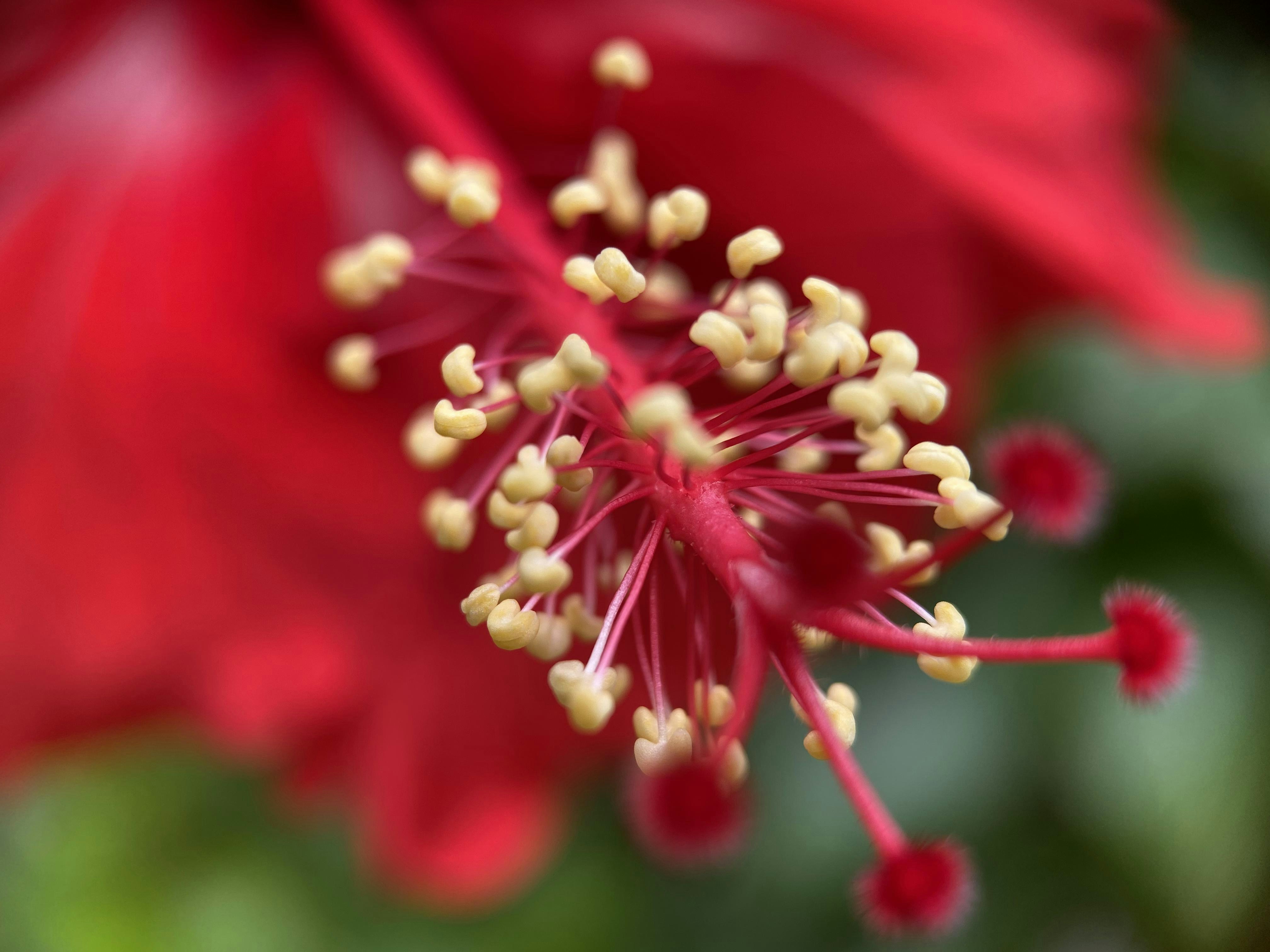 Photo by thoeunratana