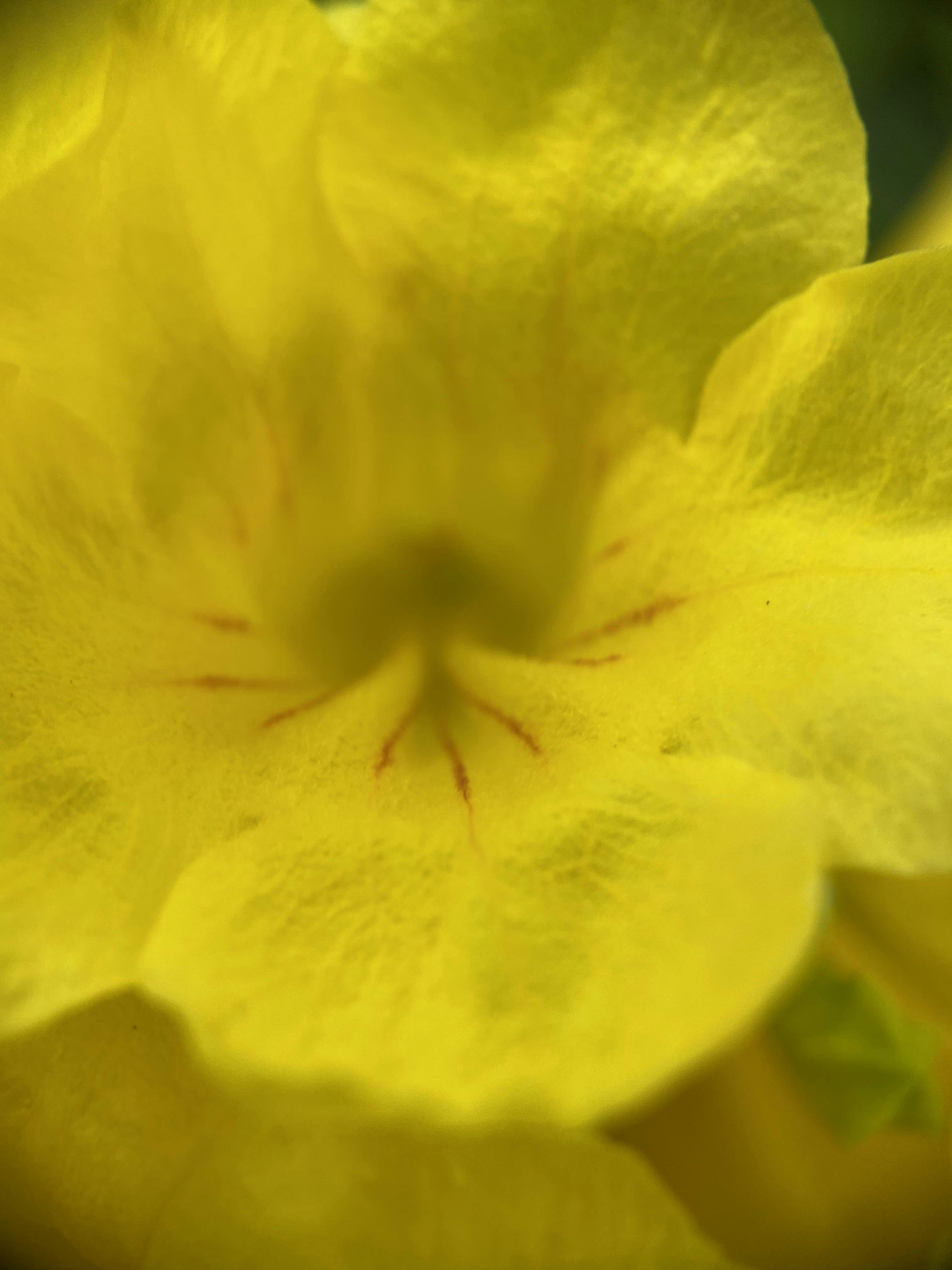 Photo by thoeunratana