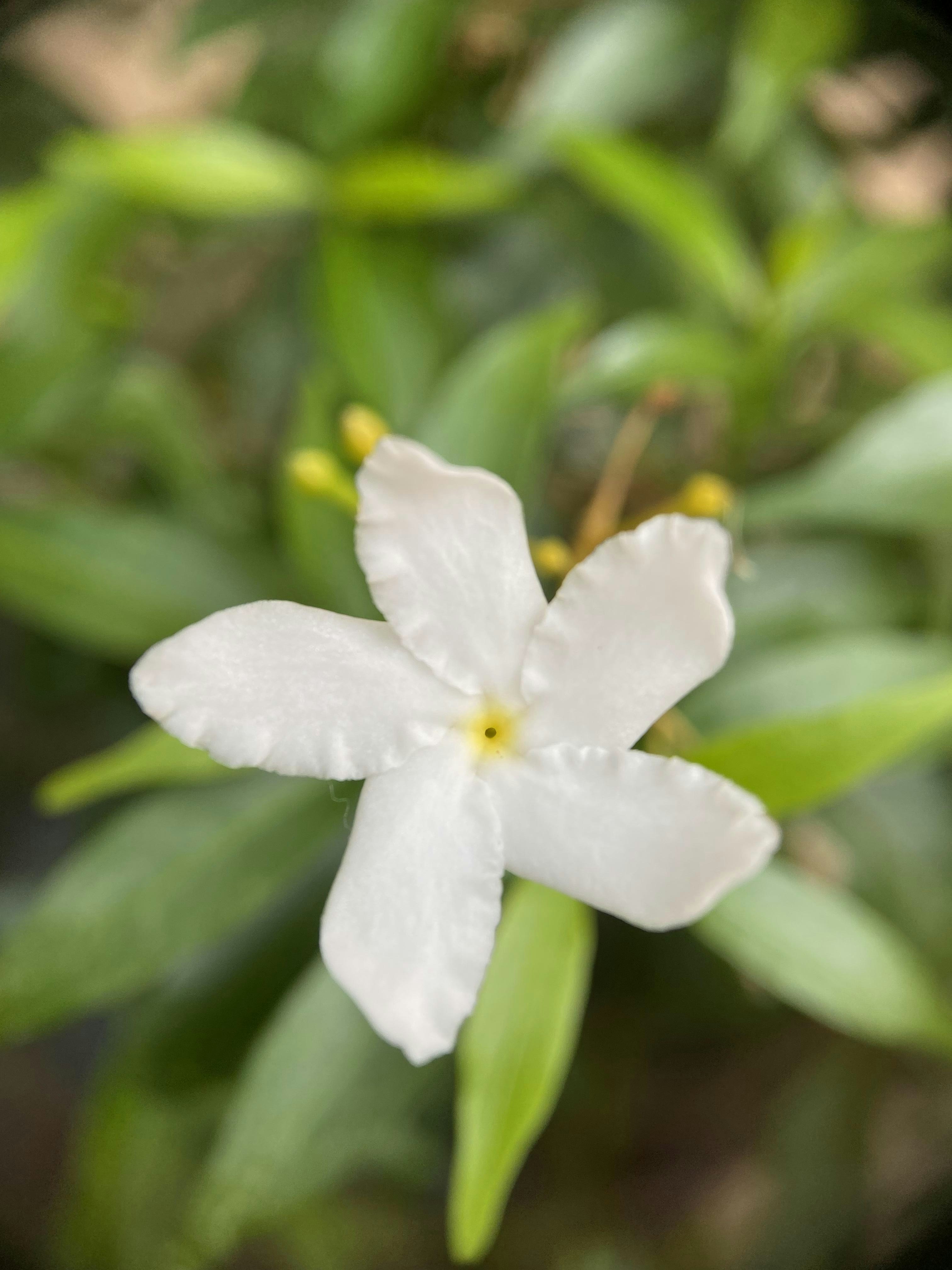 Photo by thoeunratana