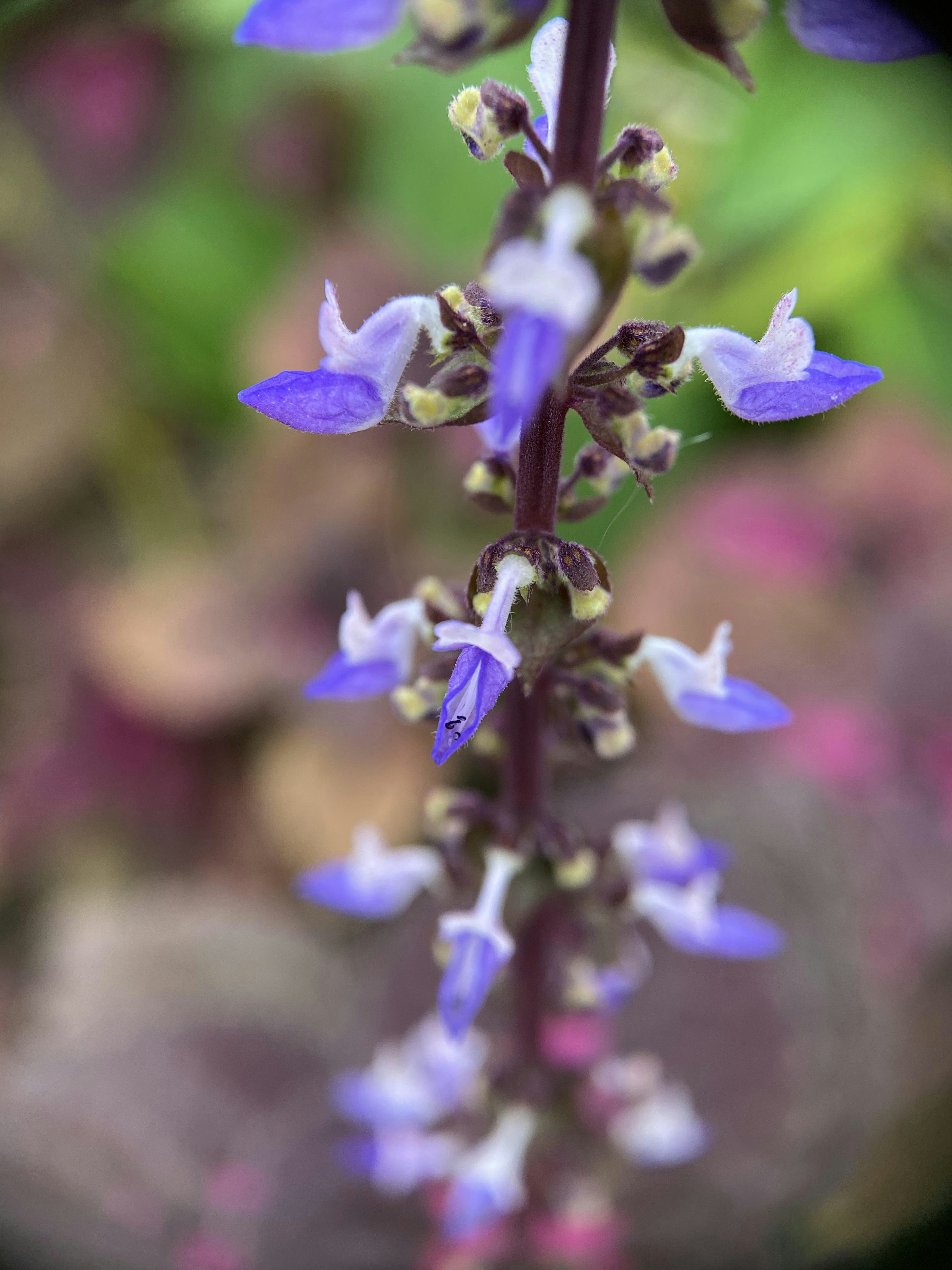 Photo by thoeunratana