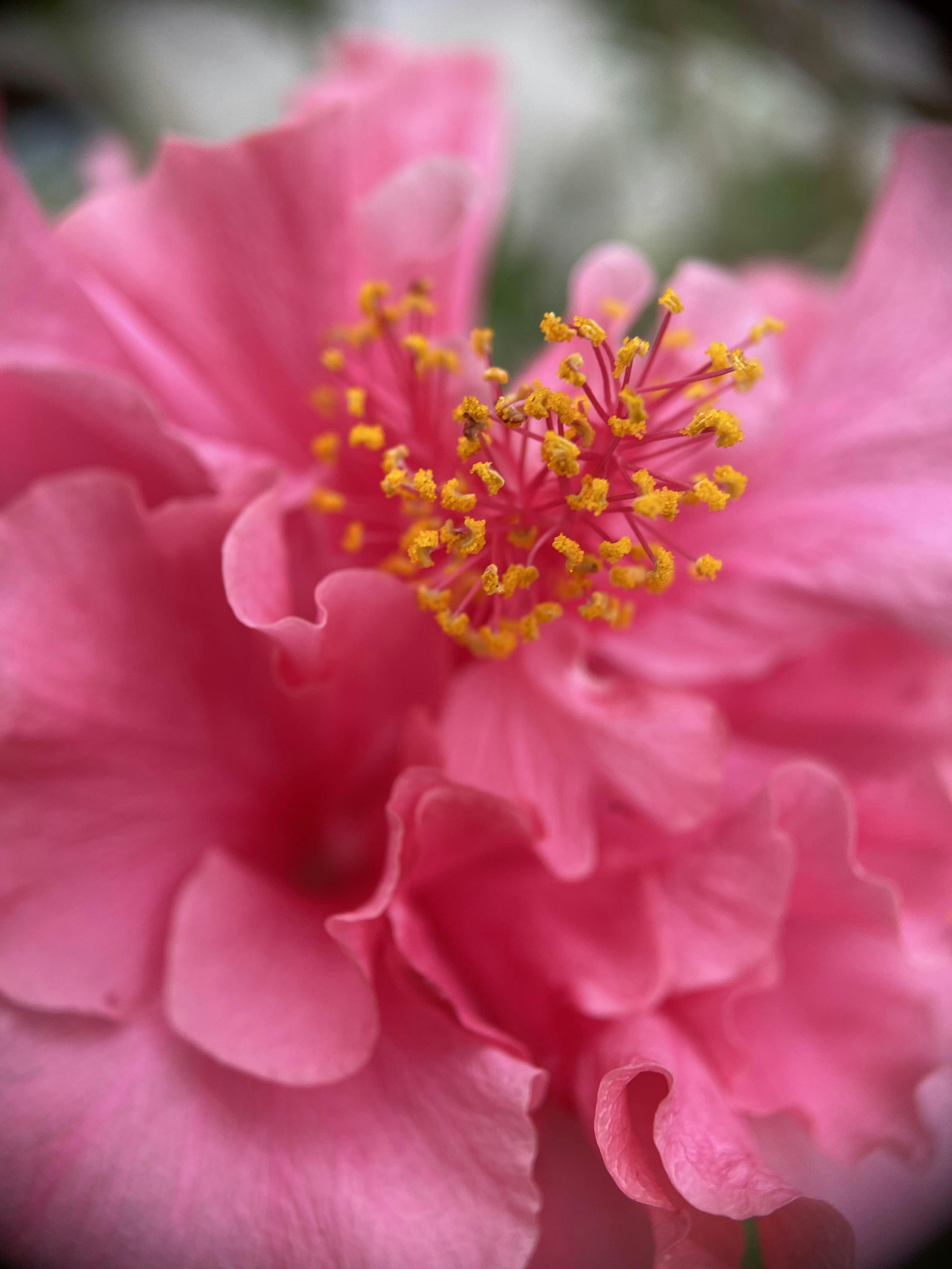 Photo by thoeunratana