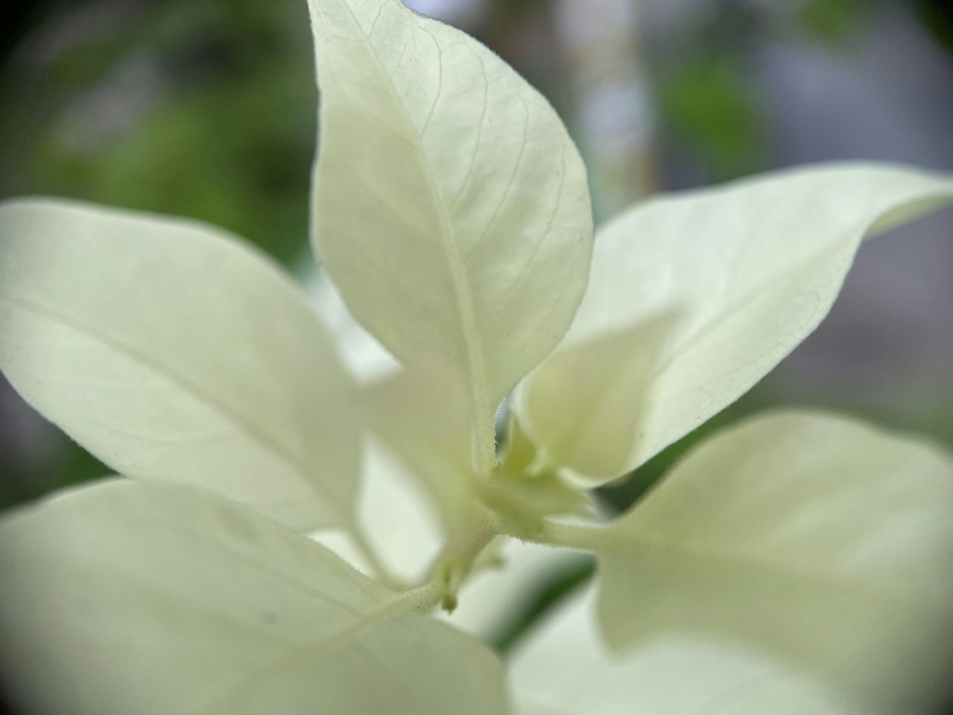 Photo by thoeunratana