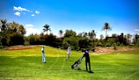Three people are on a golf course surrounded by lush greenery and palm trees. One person is standing next to a golf cart while the others appear to be preparing for a shot. The sky is clear with a few clouds, and the grass is a vibrant green.