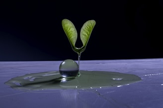 Green leaves forming a globe symbolizing CO2 reduction impact